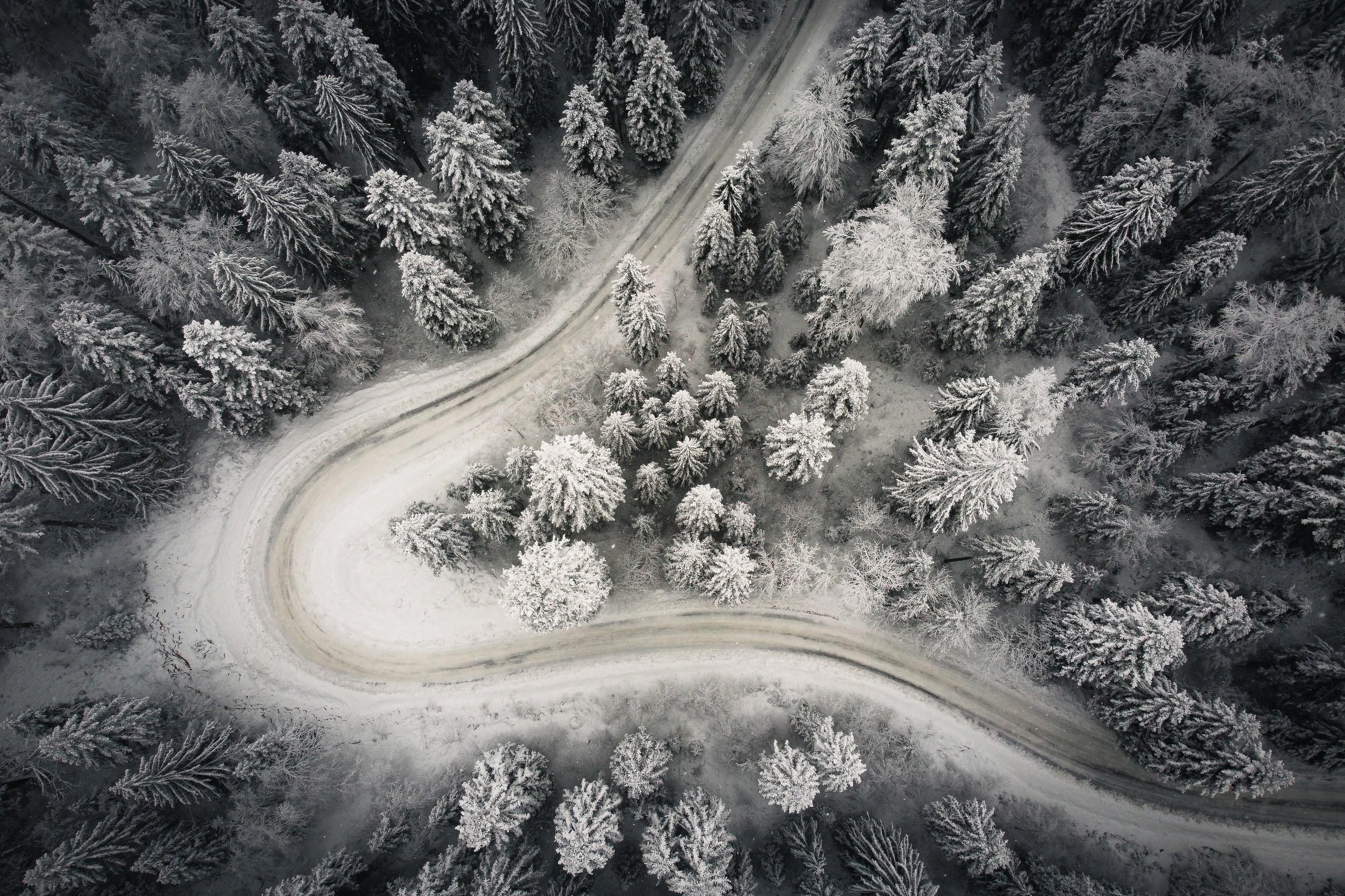 Winter twist