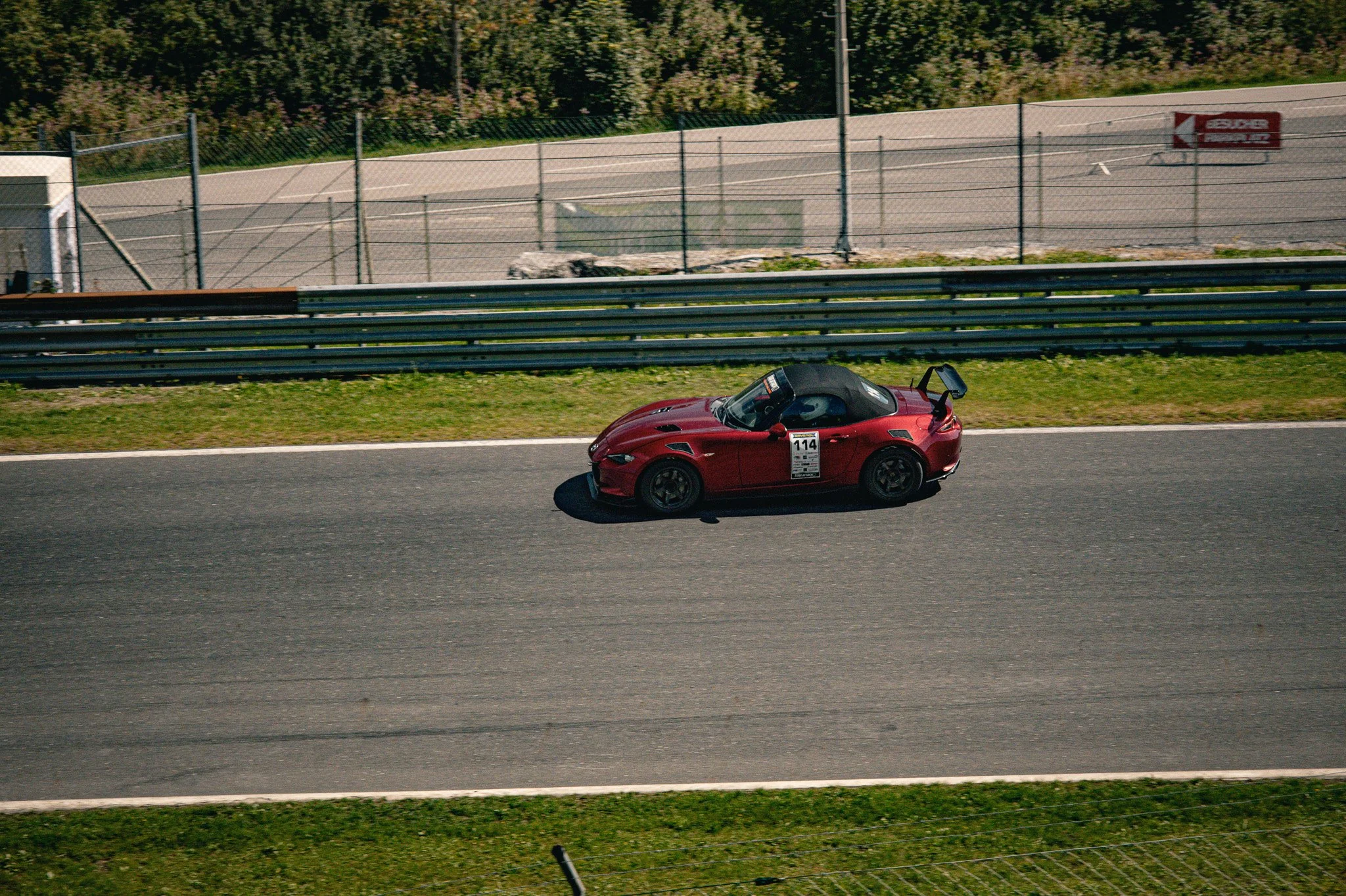 IMG_4544.jpg