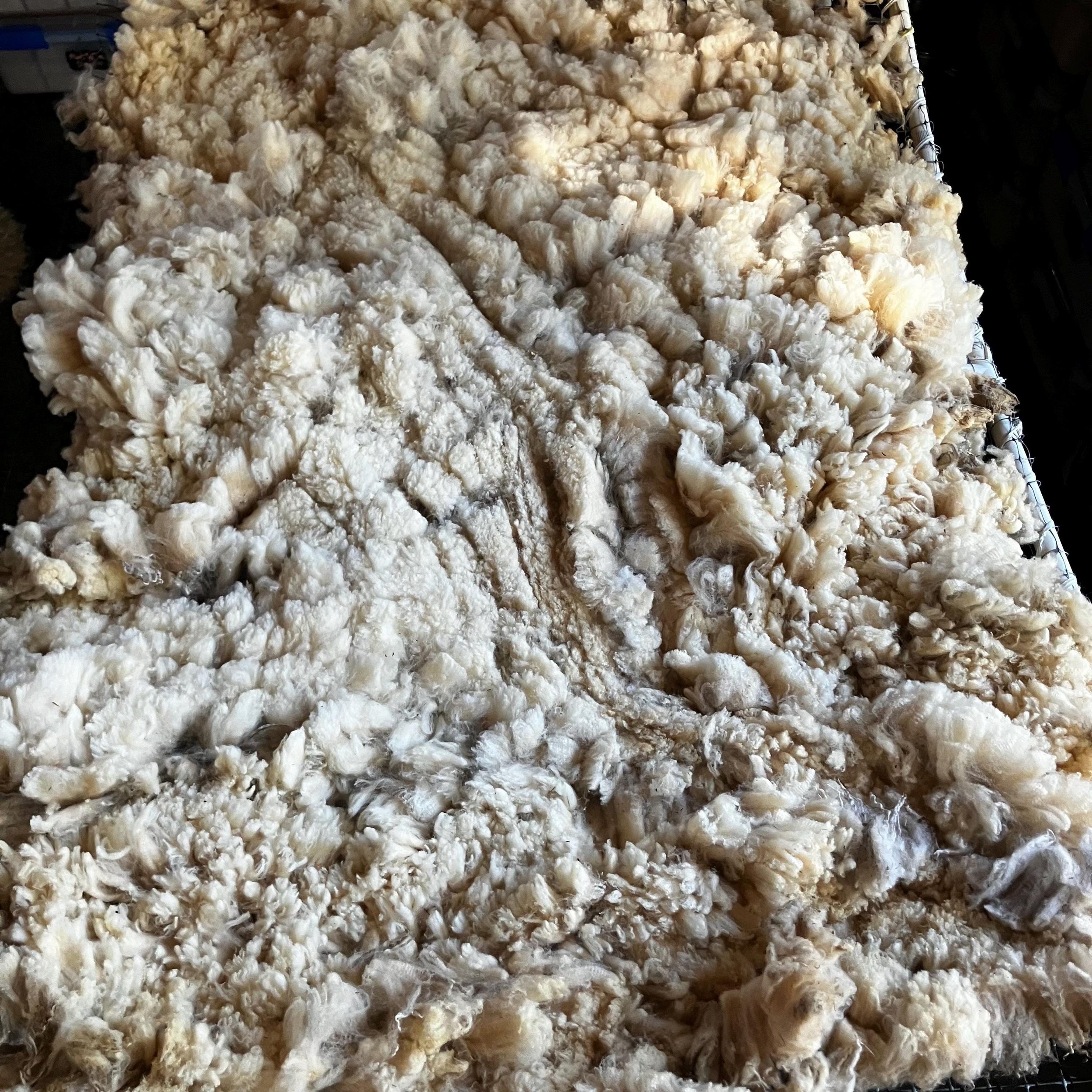 https://i.etsystatic.com/10737350/r/il/da31ce/6325745287/il_fullxfull.6325745287_4h5h.jpg