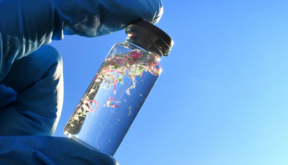Microplastics in the human brain: A growing concern that we can no longer avoid.