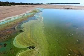 Emulate eutrophication as a result of runoff