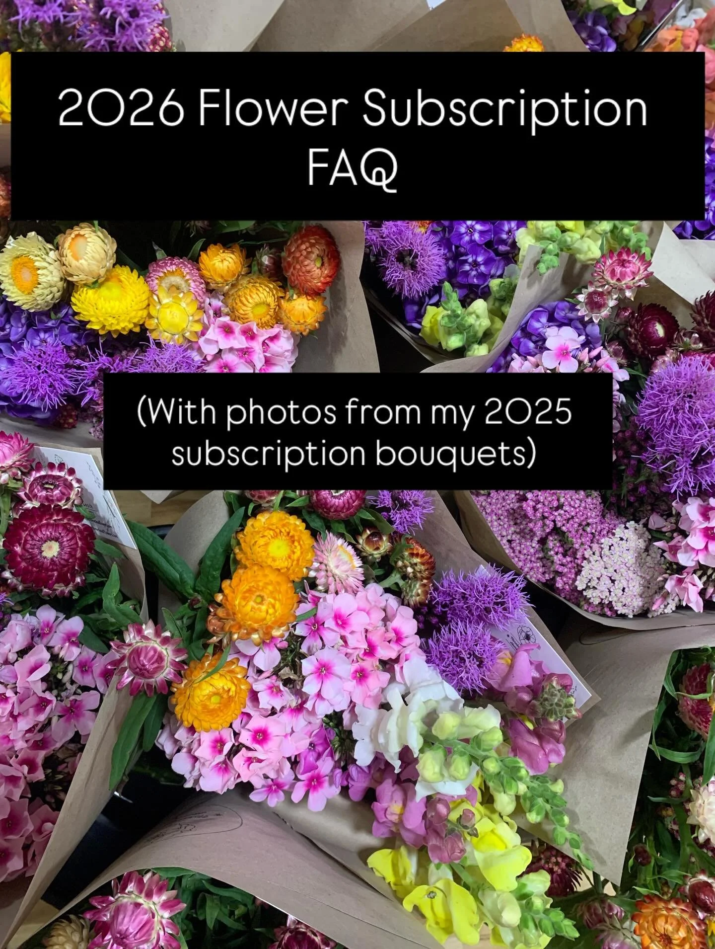 When you buy a local flower subscription, you&rsquo;re helping this farm keep growing. You&rsquo;re making it possible for me to keep planting, keep nurturing, keep betting on color and joy and seasonality.
And in return, you get flowers that tell a 
