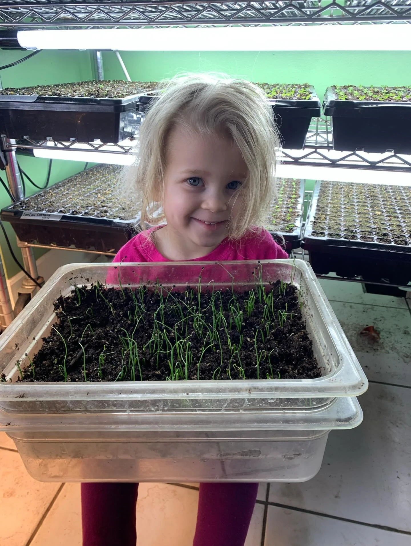 Literally the only non flower seed starts I am doing this year are onions and my little Maggie loved helping me plant them and has eagerly been checking them each day asking if they have &ldquo;Bloomed&rdquo; yet.