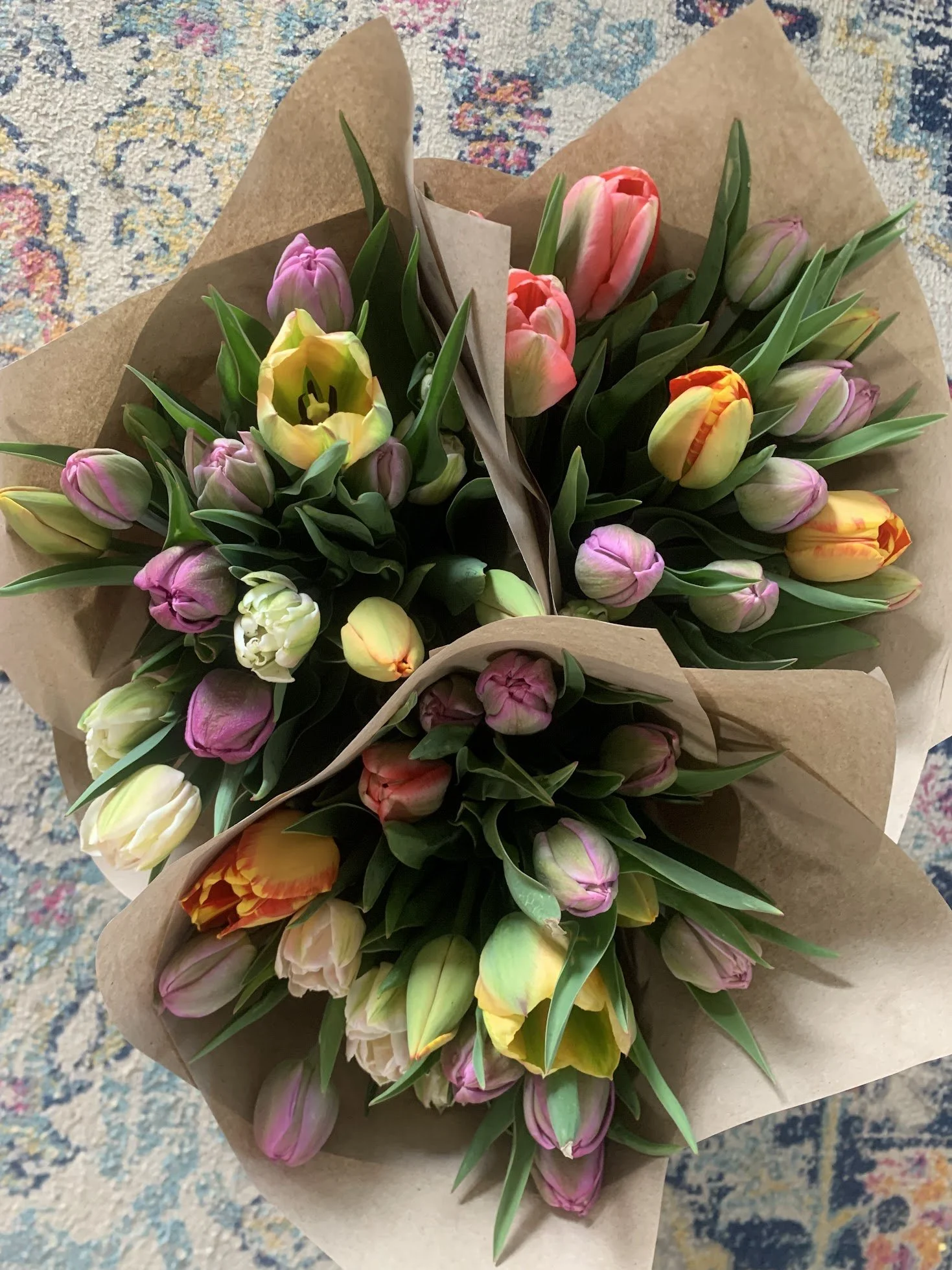 Premium Locally Grown St. Valentine's Day Tulips