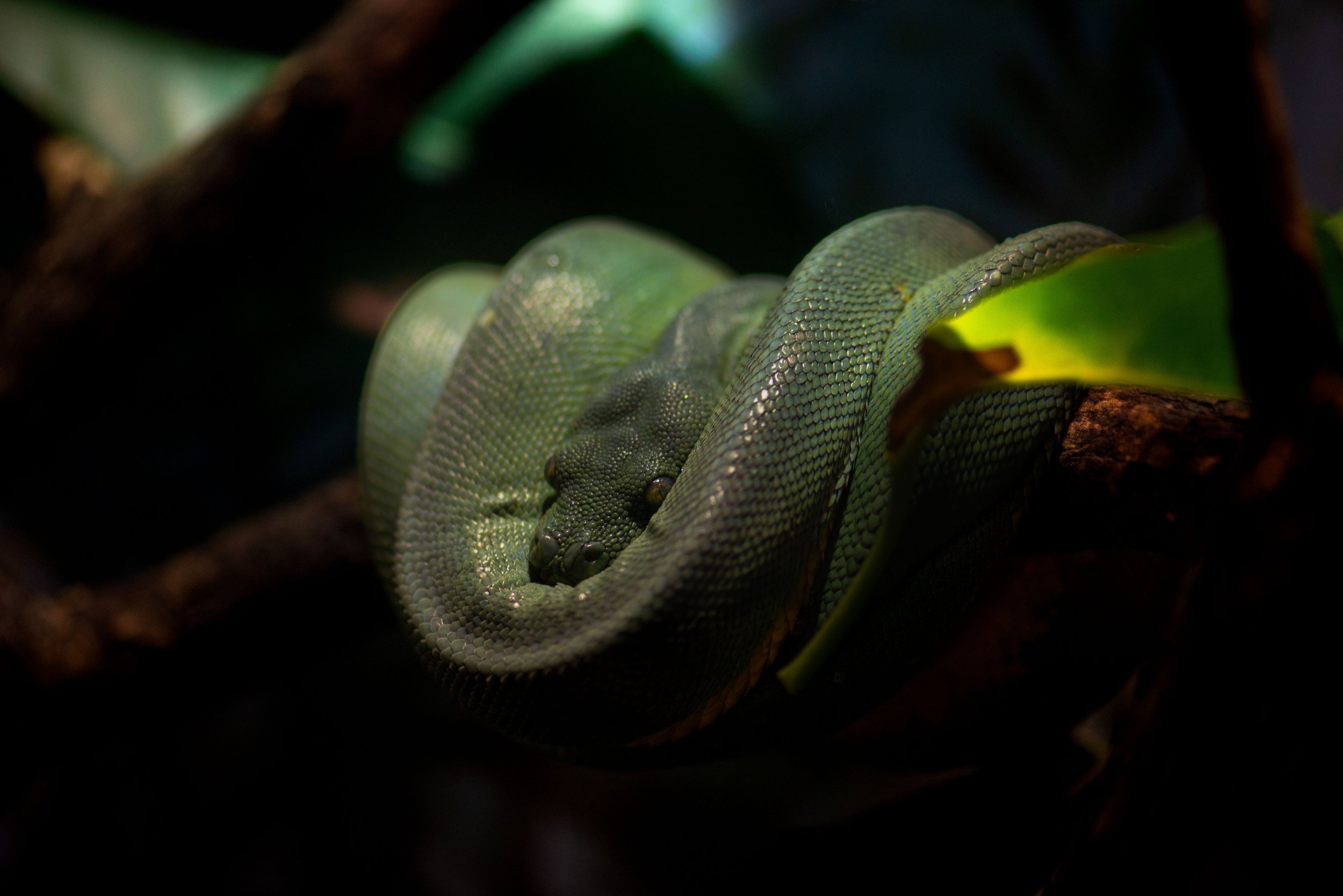20240423_Zoo_0004.jpg