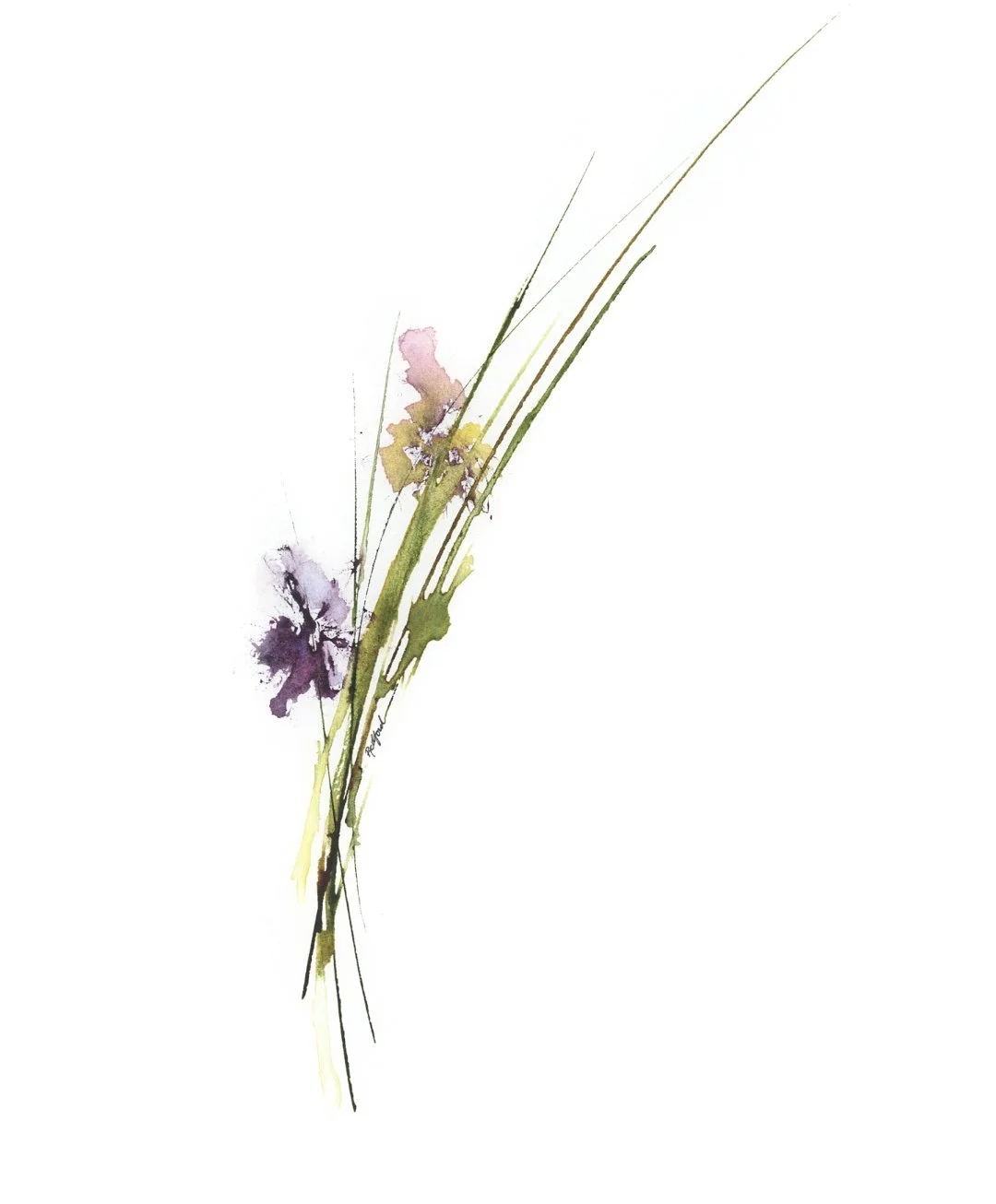 Switchgrass and Windflowers, 2024 - Vinessa Redford