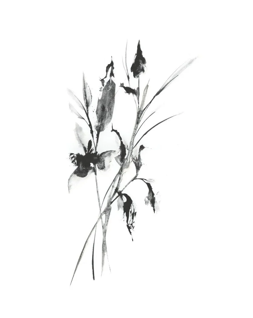 Monochromatic Meditations - Vinessa Redford