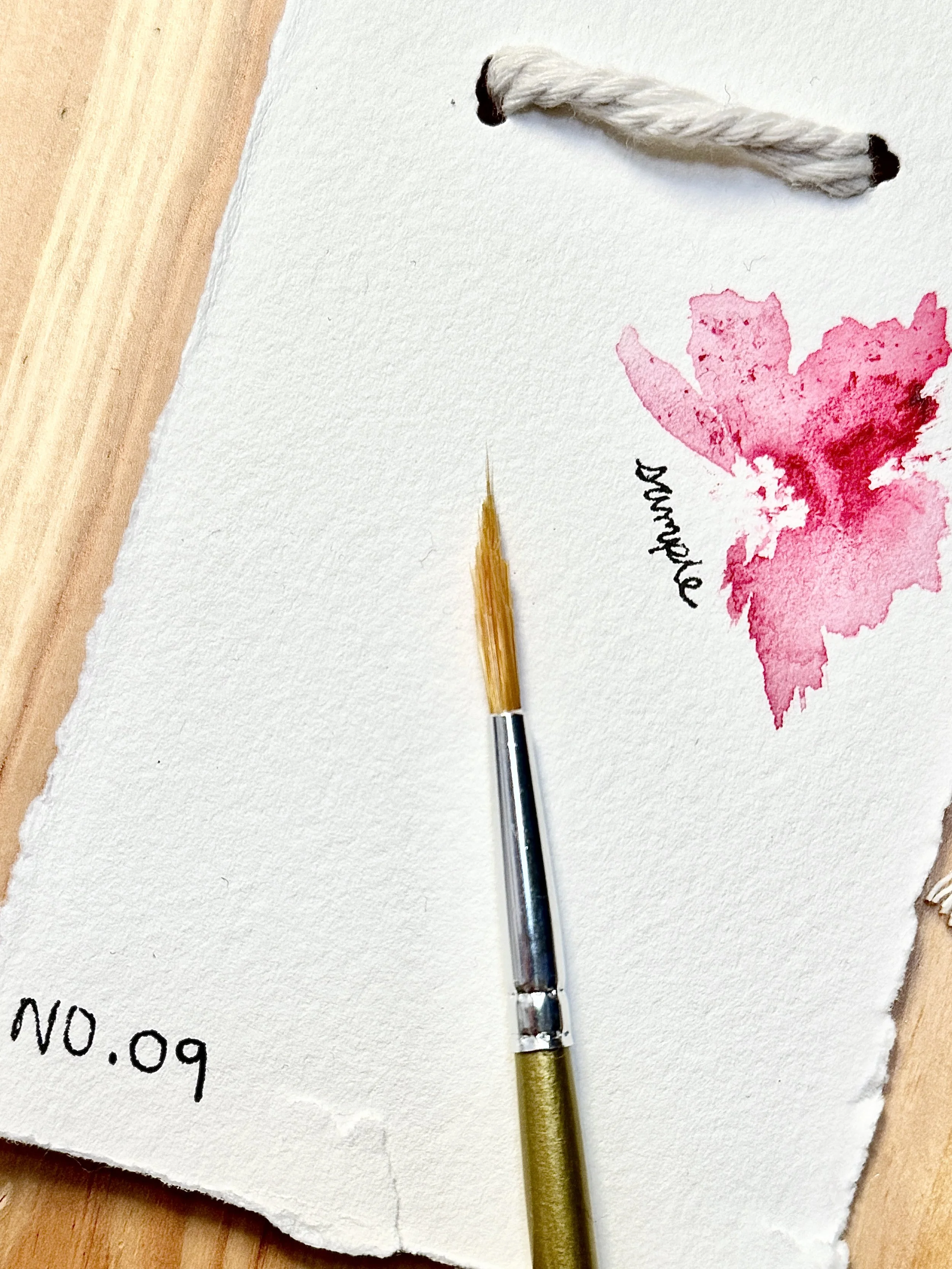 Pique Brush No.9- Hand-Shaped Watercolour Tool by Canadian Artist Vinessa Redford (Close-up)