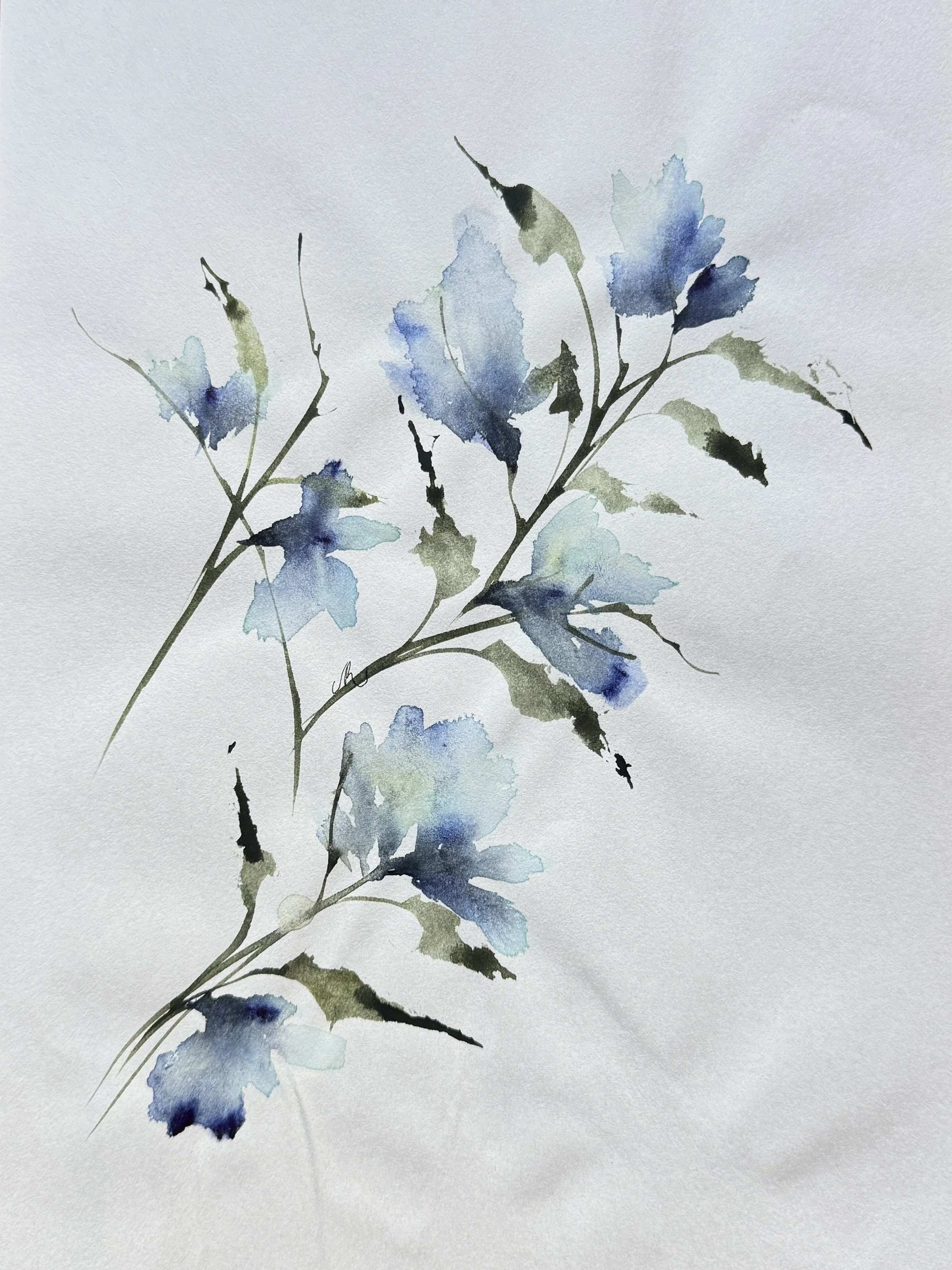 Sapphire Bellflowers, 2024 (Study)