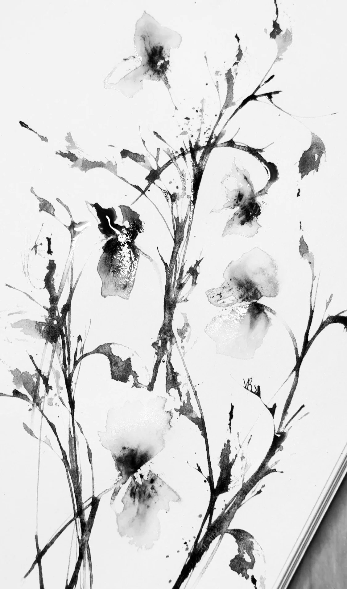 Part III — Watercolour Floral Compositions (February 18, 2026)