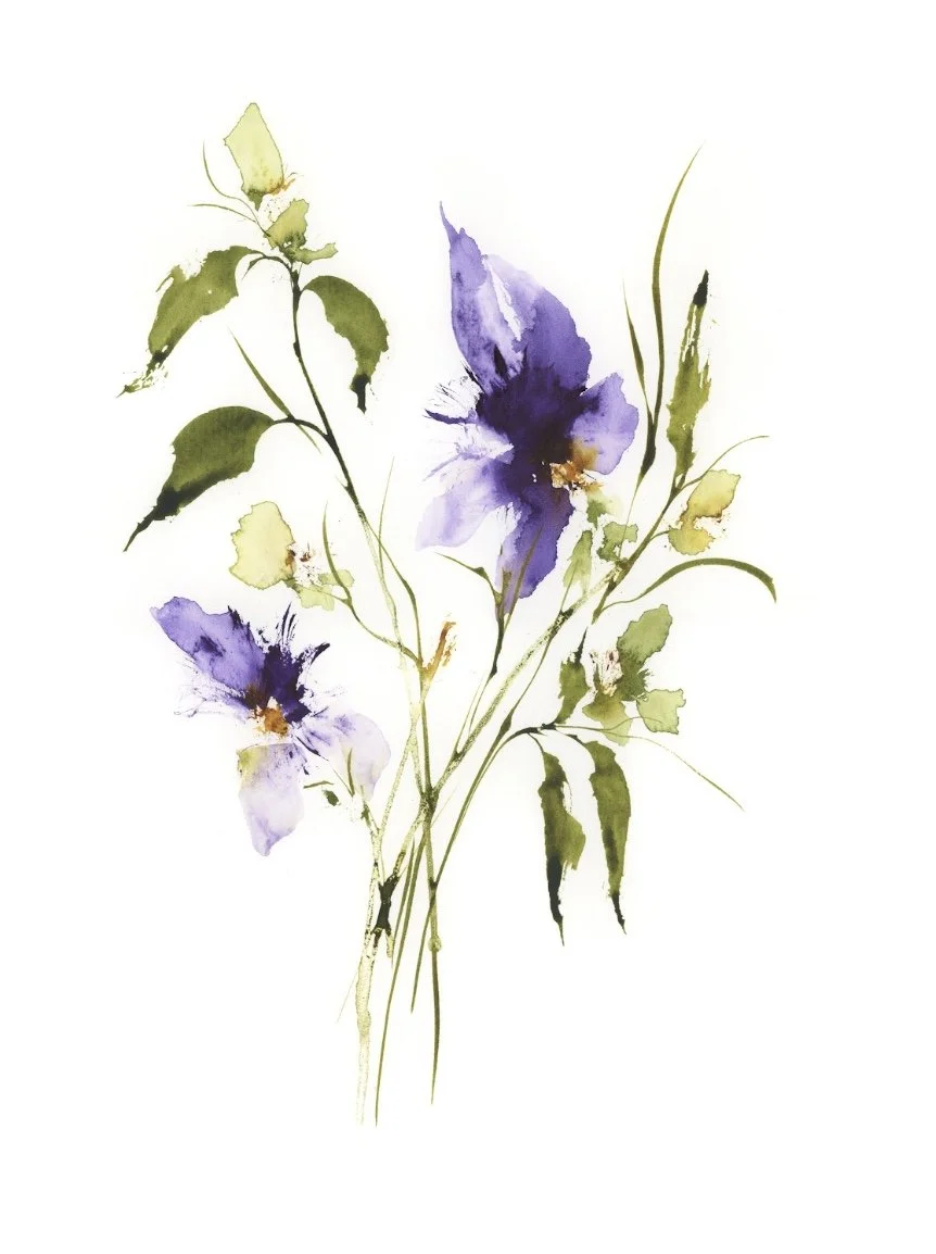 Prairie Violets - Vinessa Redford