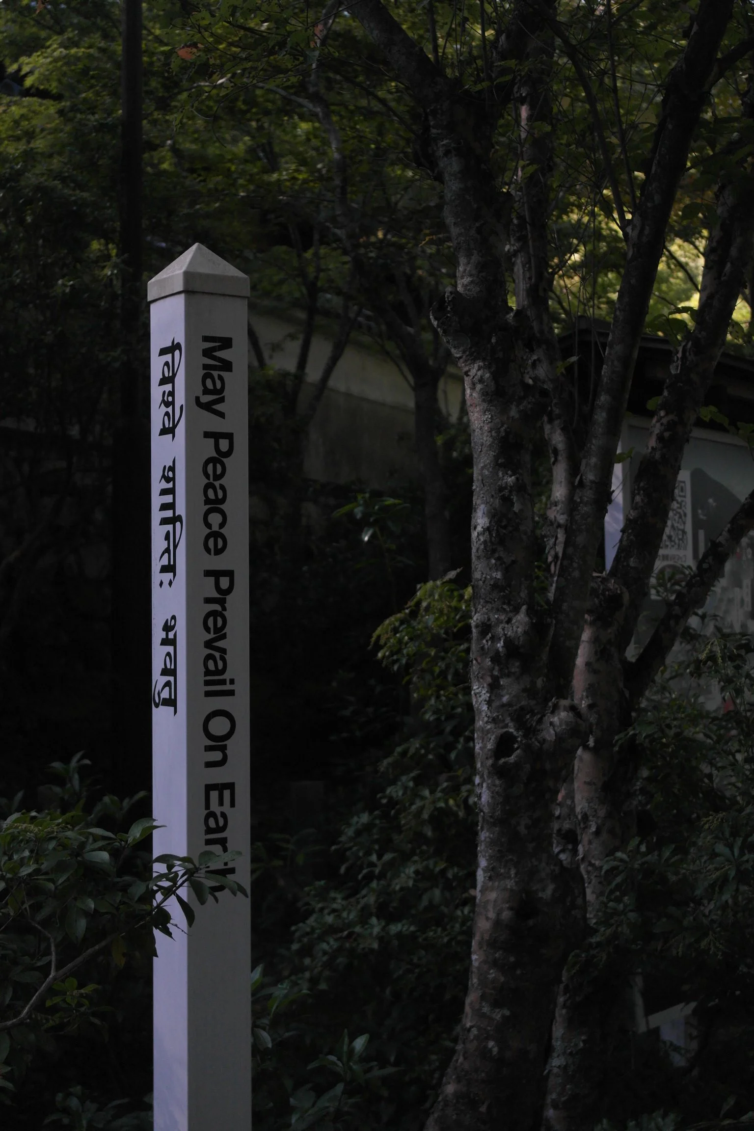 A white signpost with black text reading 'May Peace Prevail On Earth' in English and Hindi, situated next to a tree with green foliage in a shaded outdoor setting.
