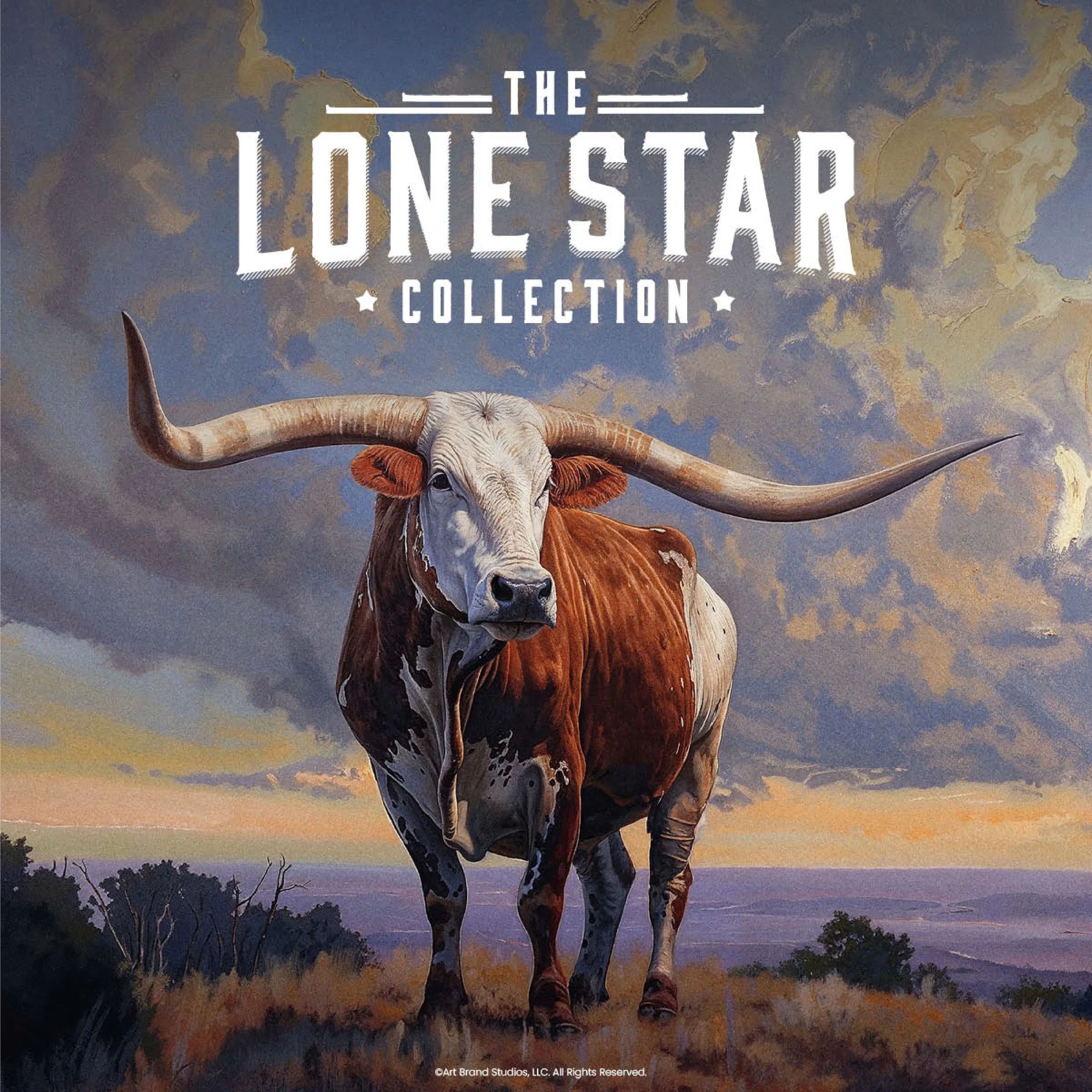 Portfolio _ Promo Hero Images-04.jpg