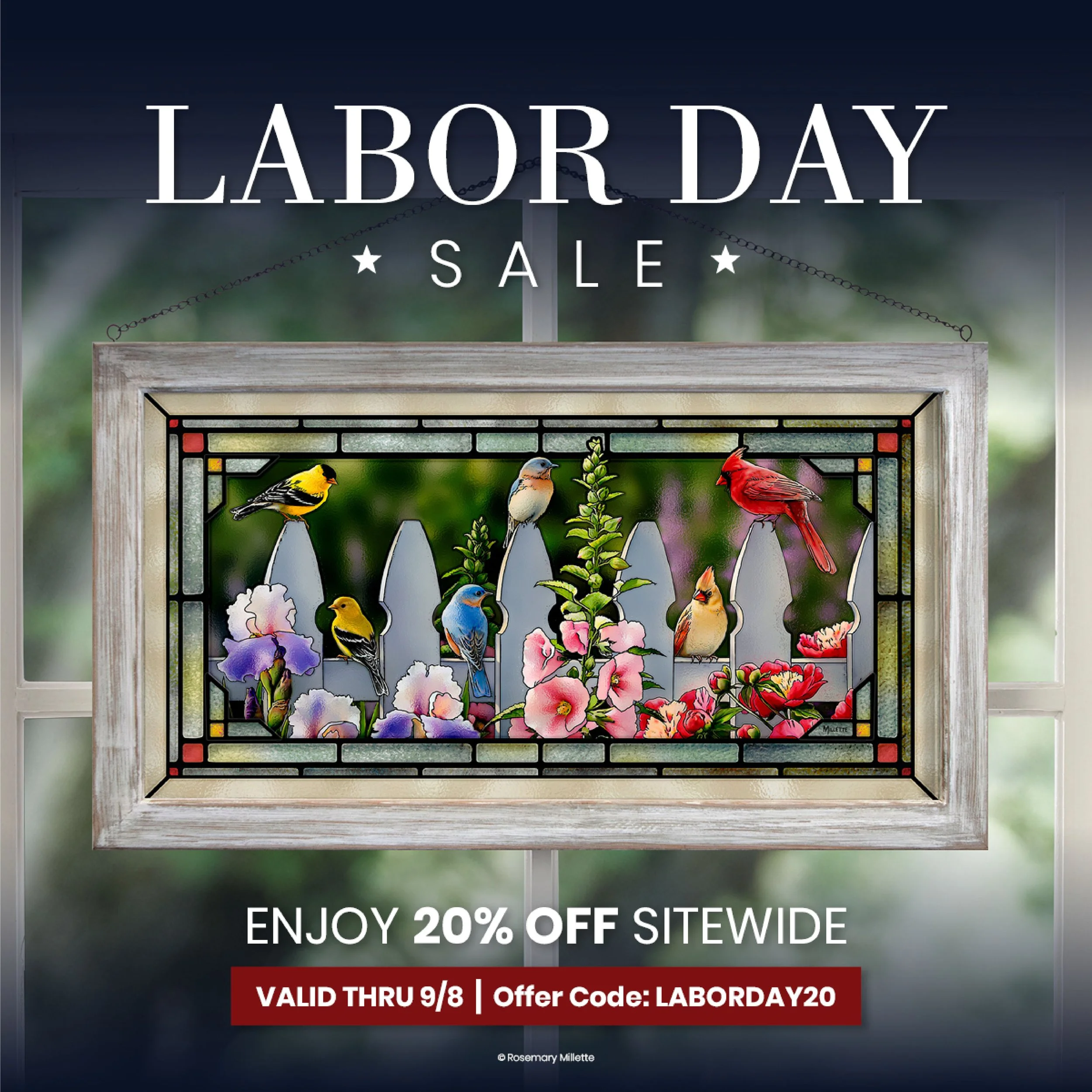 Portfolio _ Promo Hero Images-02.jpg