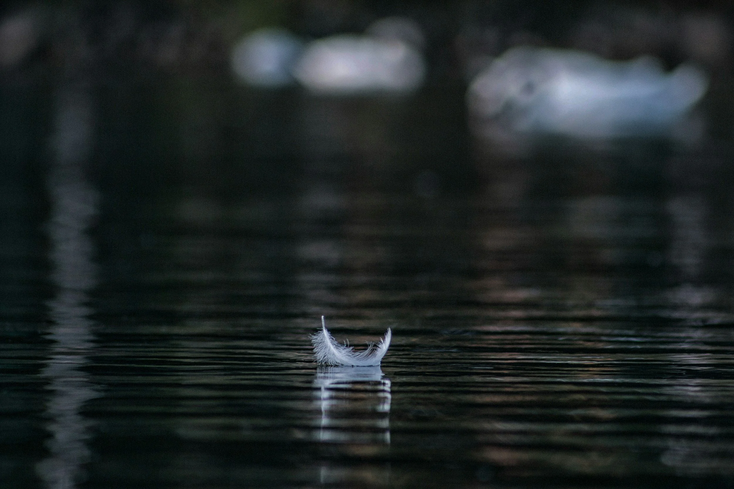 Yin & the Sound of Stillness