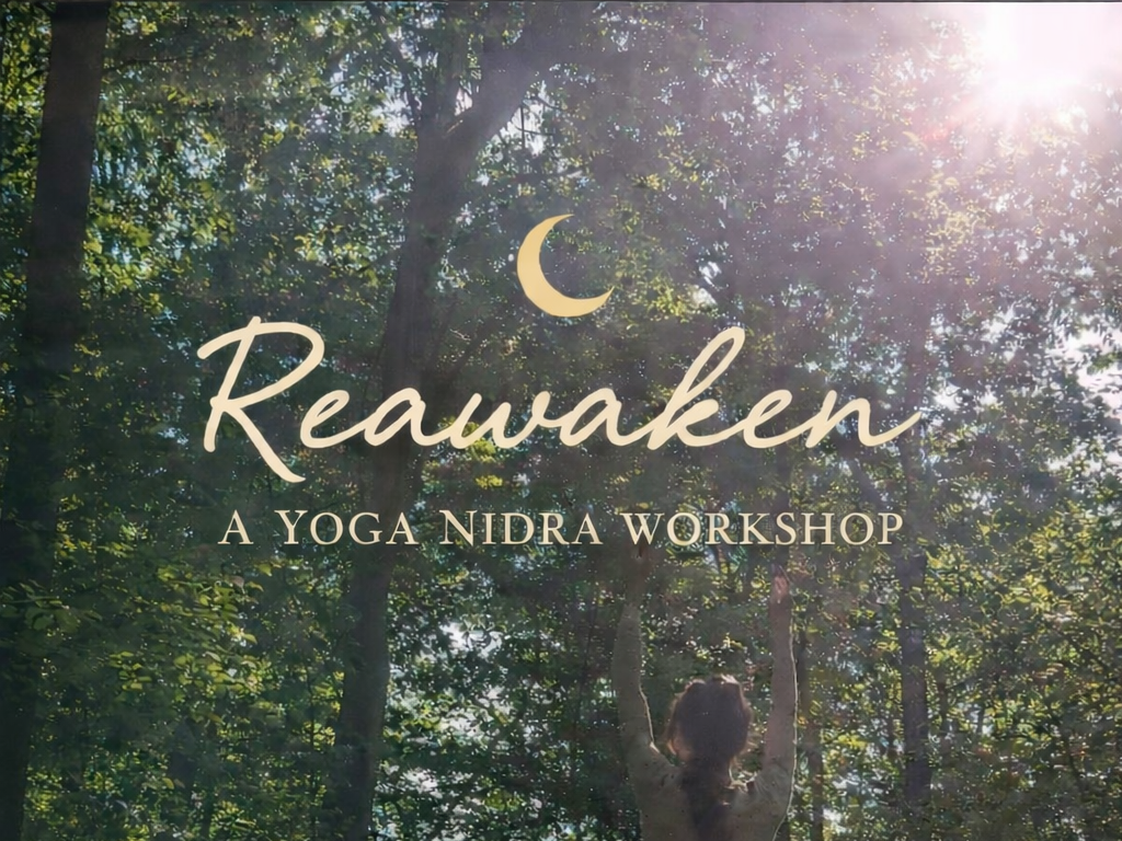 Re-Awaken, A Guided Meditation Experience