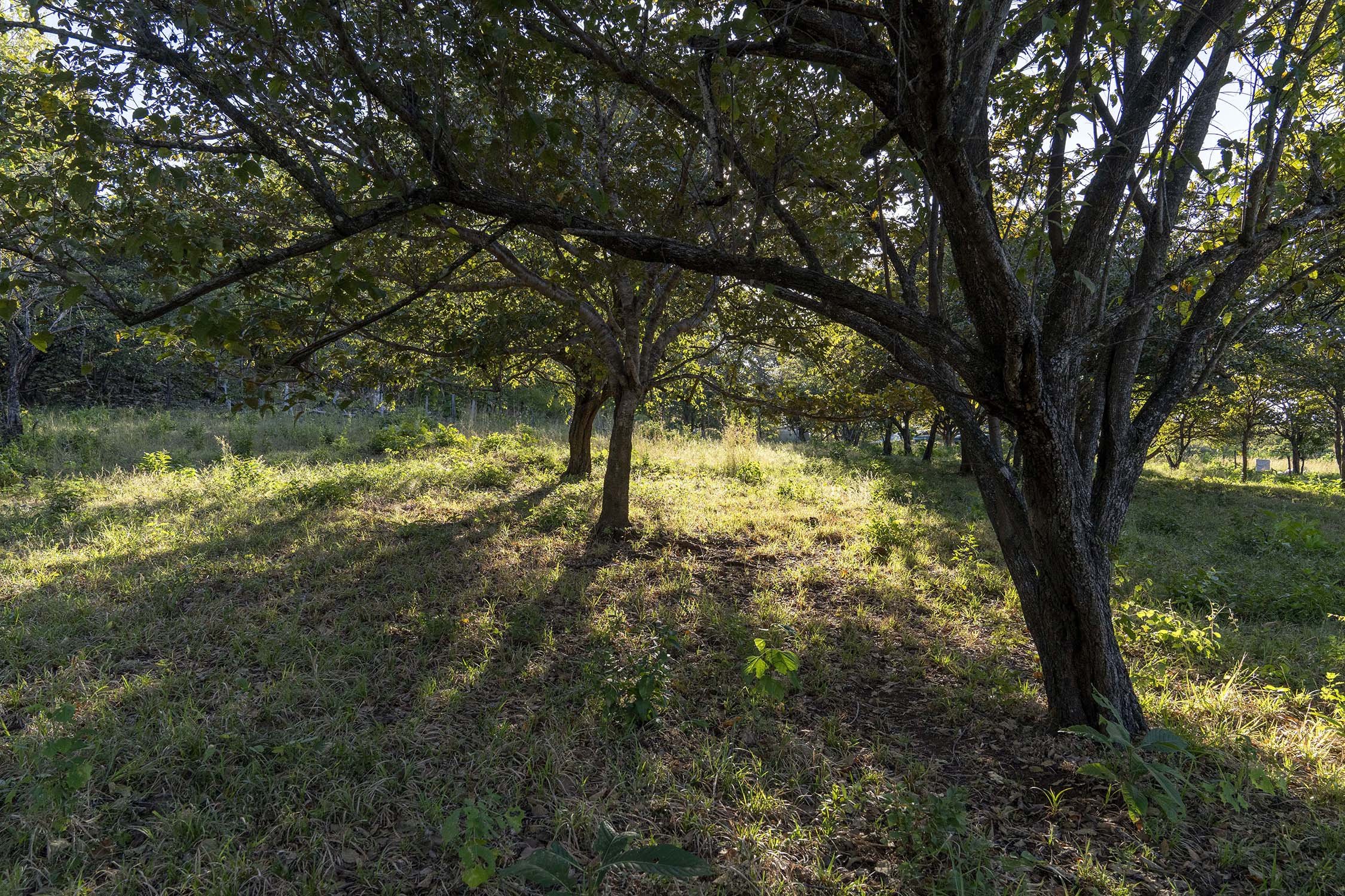 CR-Property00016.jpg
