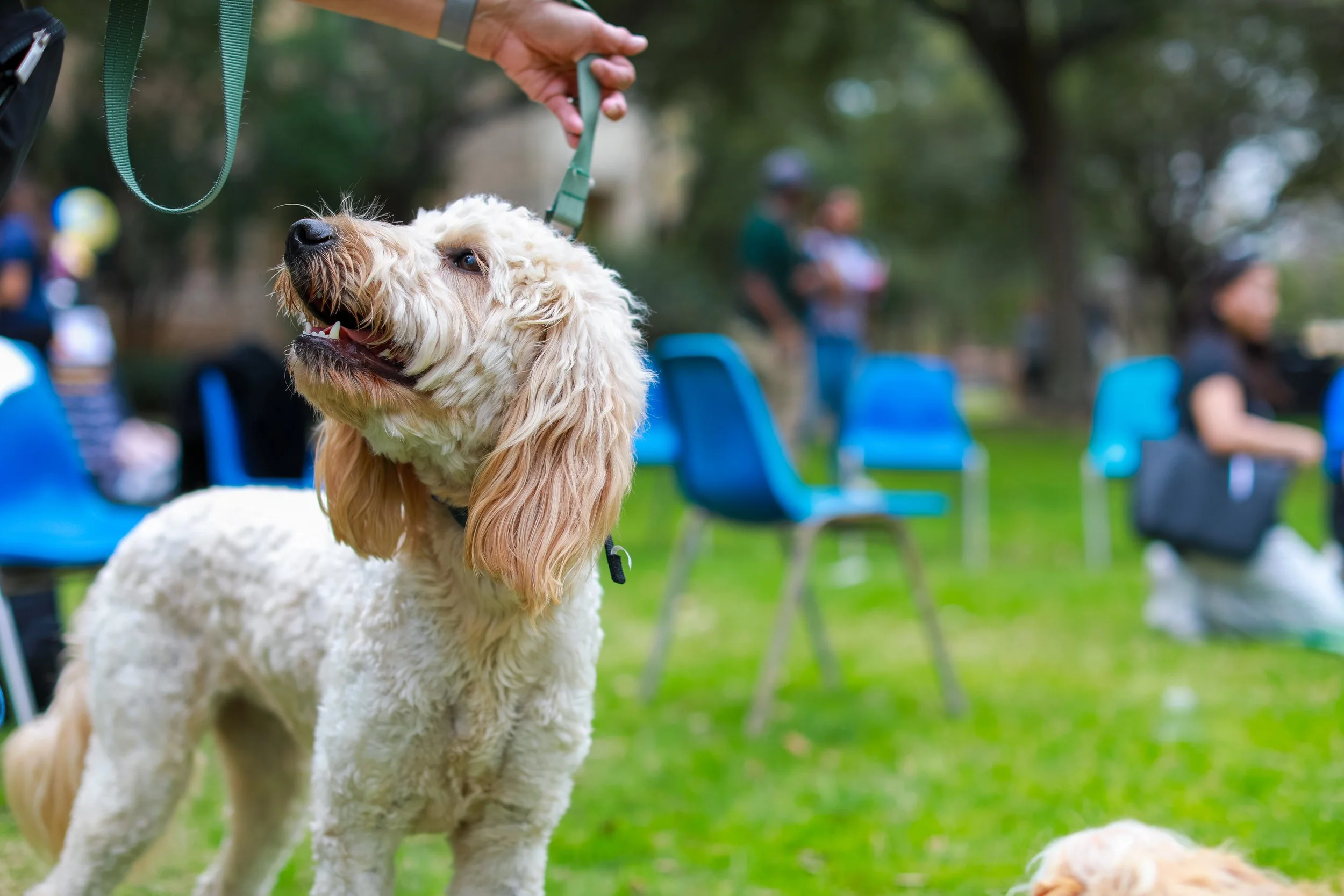 Emmanuel Epau-31.jpg