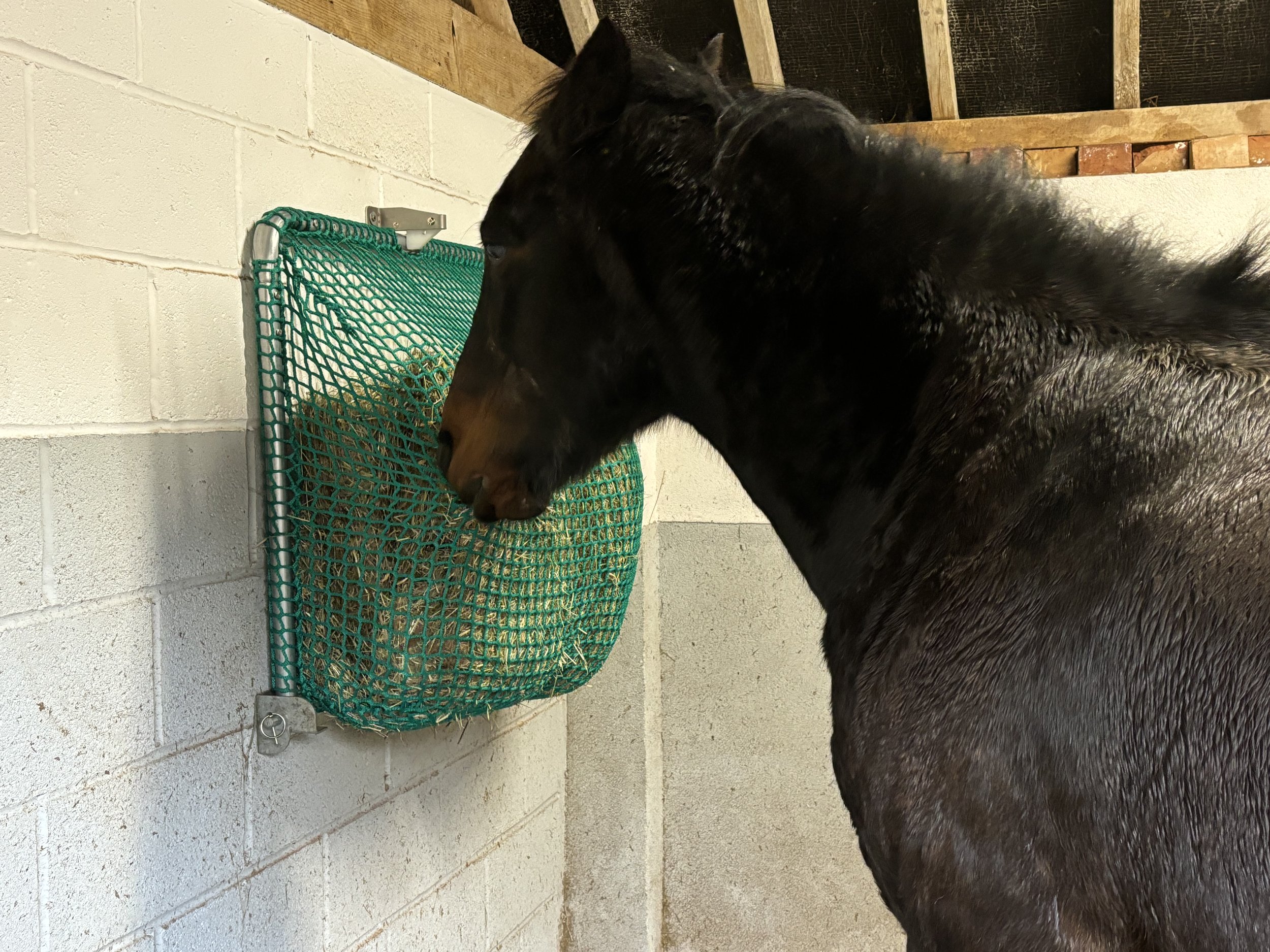 Easy to fill hay net for horses