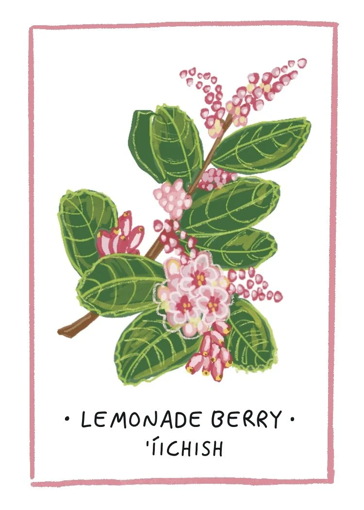 Lemonade_Berry.jpg