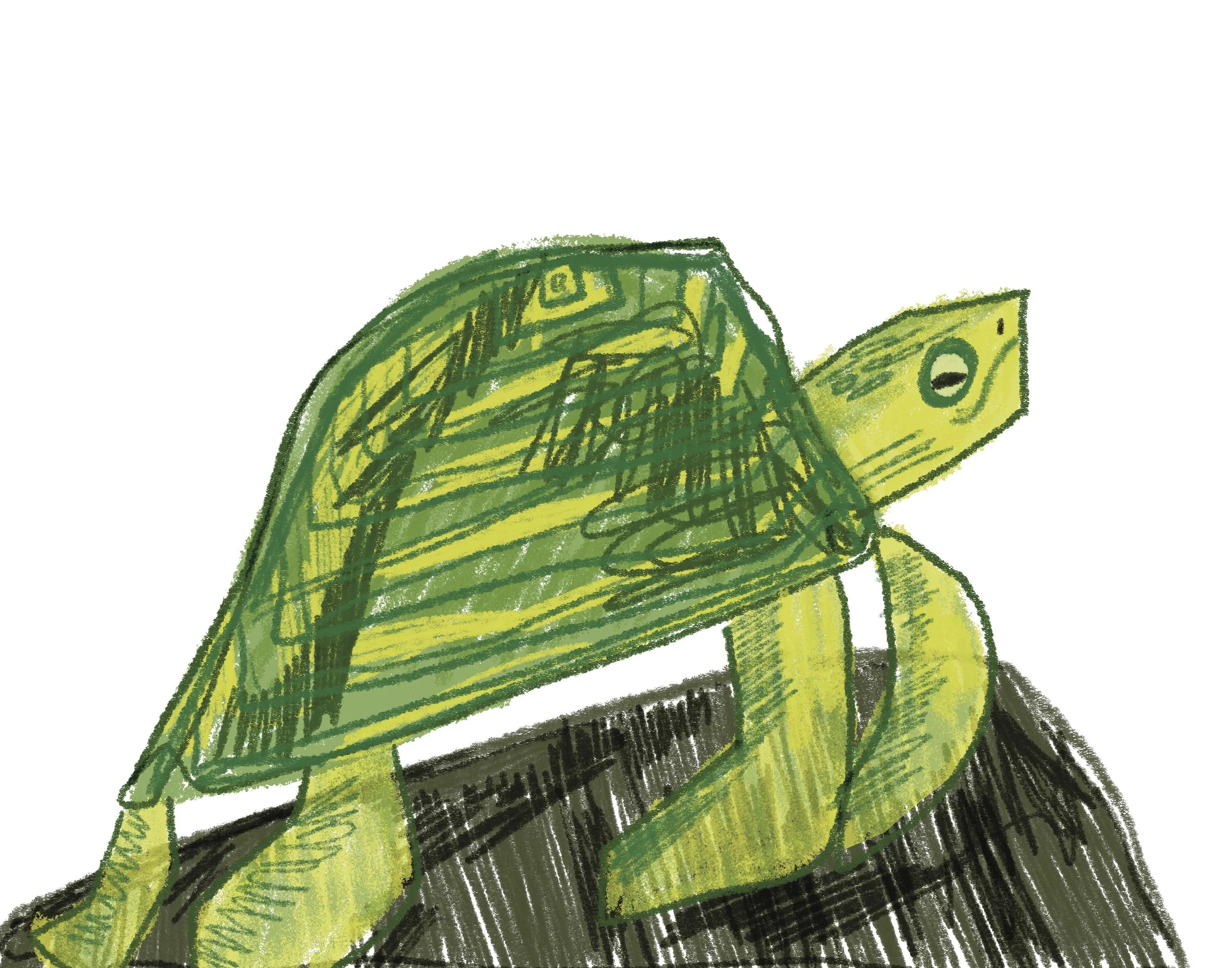 Untitled_Artwork 7.JPG