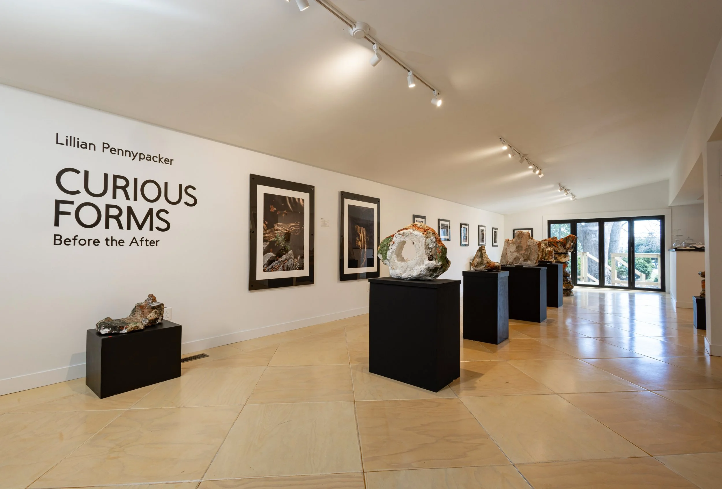 LillianPennypacker_CuriousForms-9482.jpg