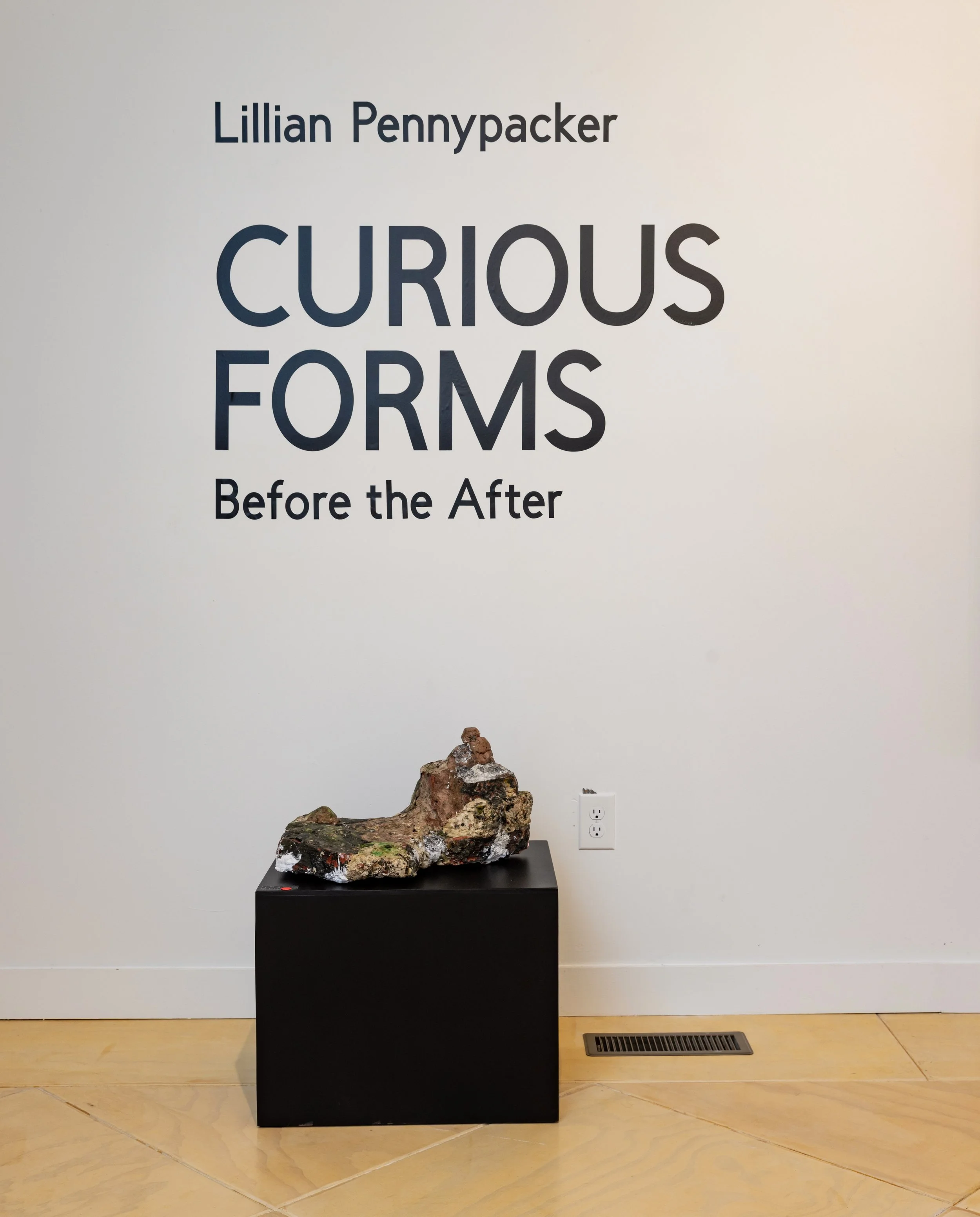 LillianPennypacker_CuriousForms-9485.jpg