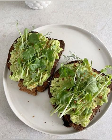 Avocado toast with microgreens and cilantro on a white plate.