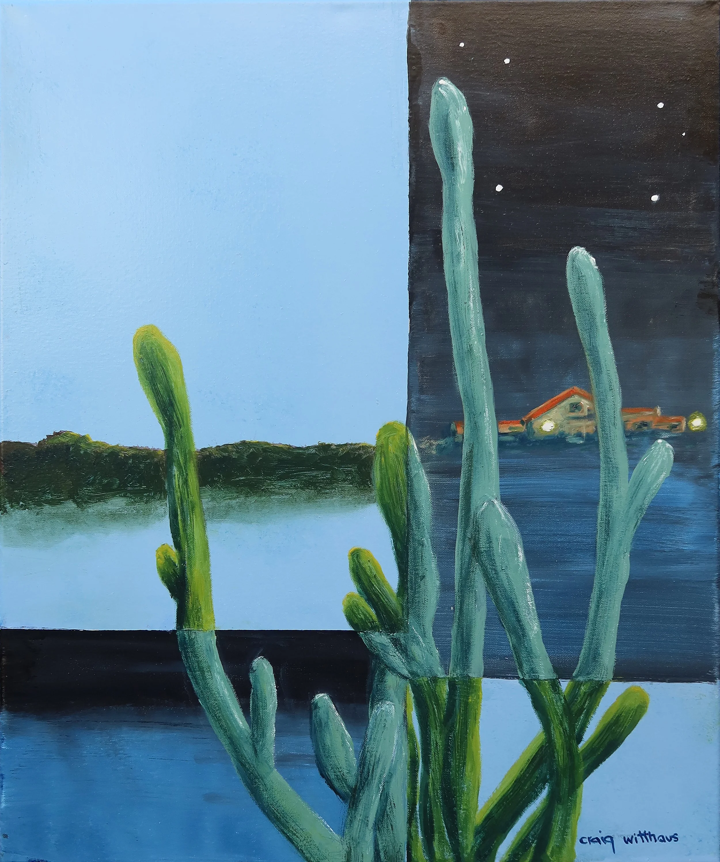 Night and day cacti in AZ.jpg