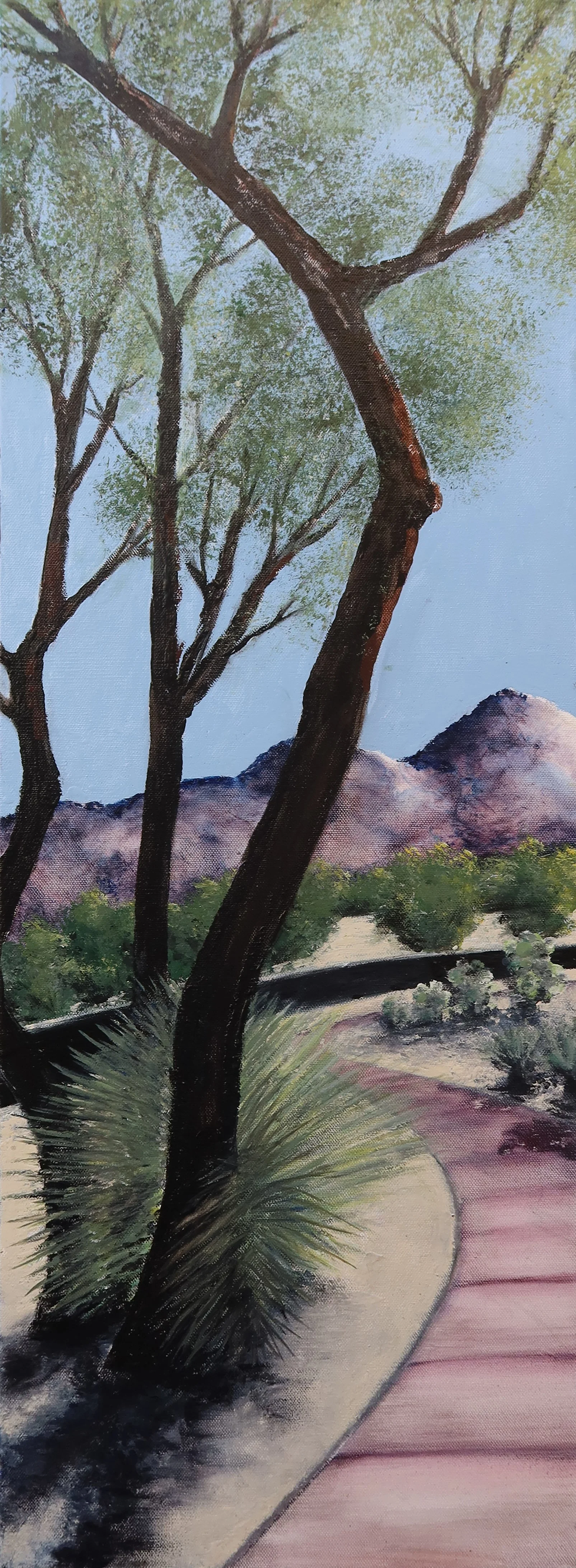 Oro Valley pathway.jpg