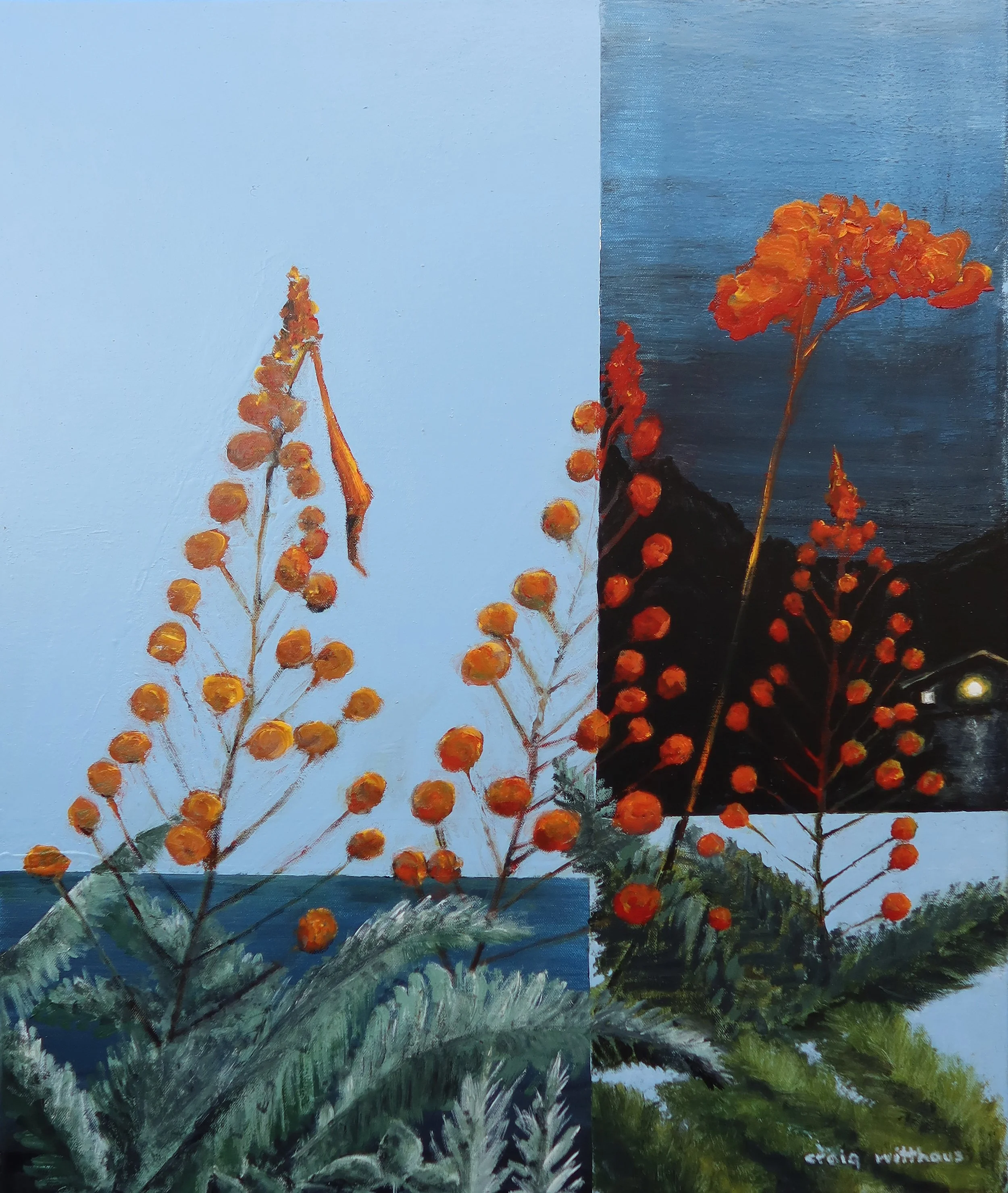 mexican bird of paradise.jpg