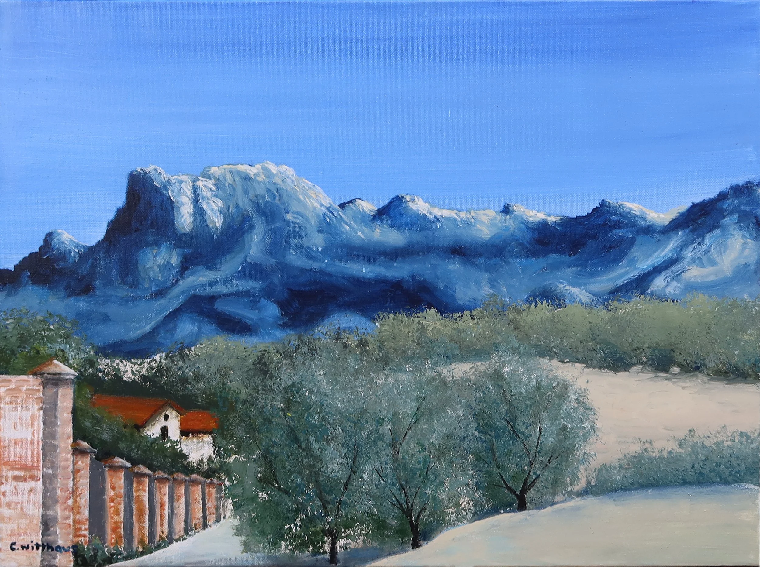 1st ave and Oracle 1.jpg