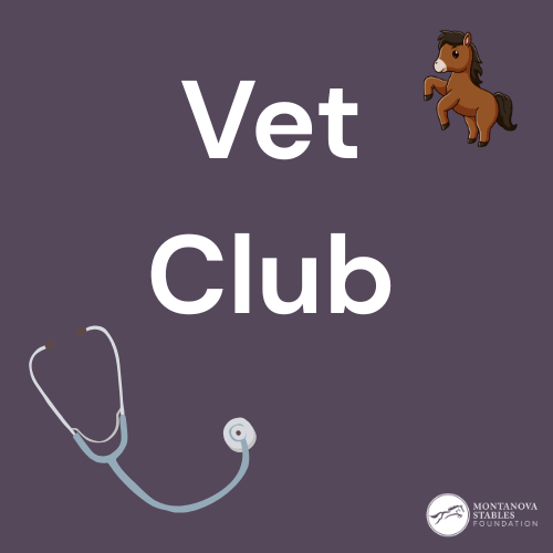 Vet Club