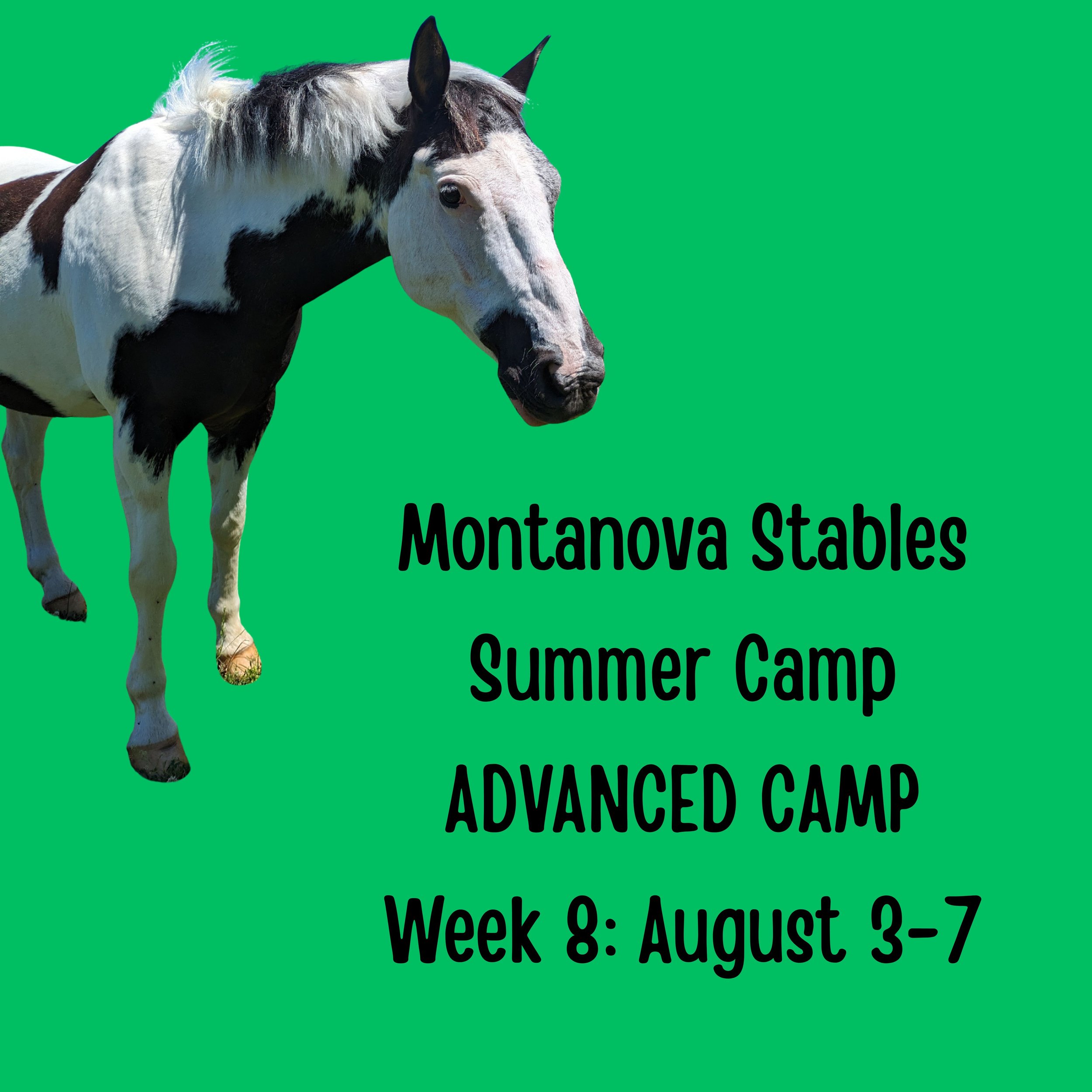 Week 8 - ADVANCED CAMP - August 3-7