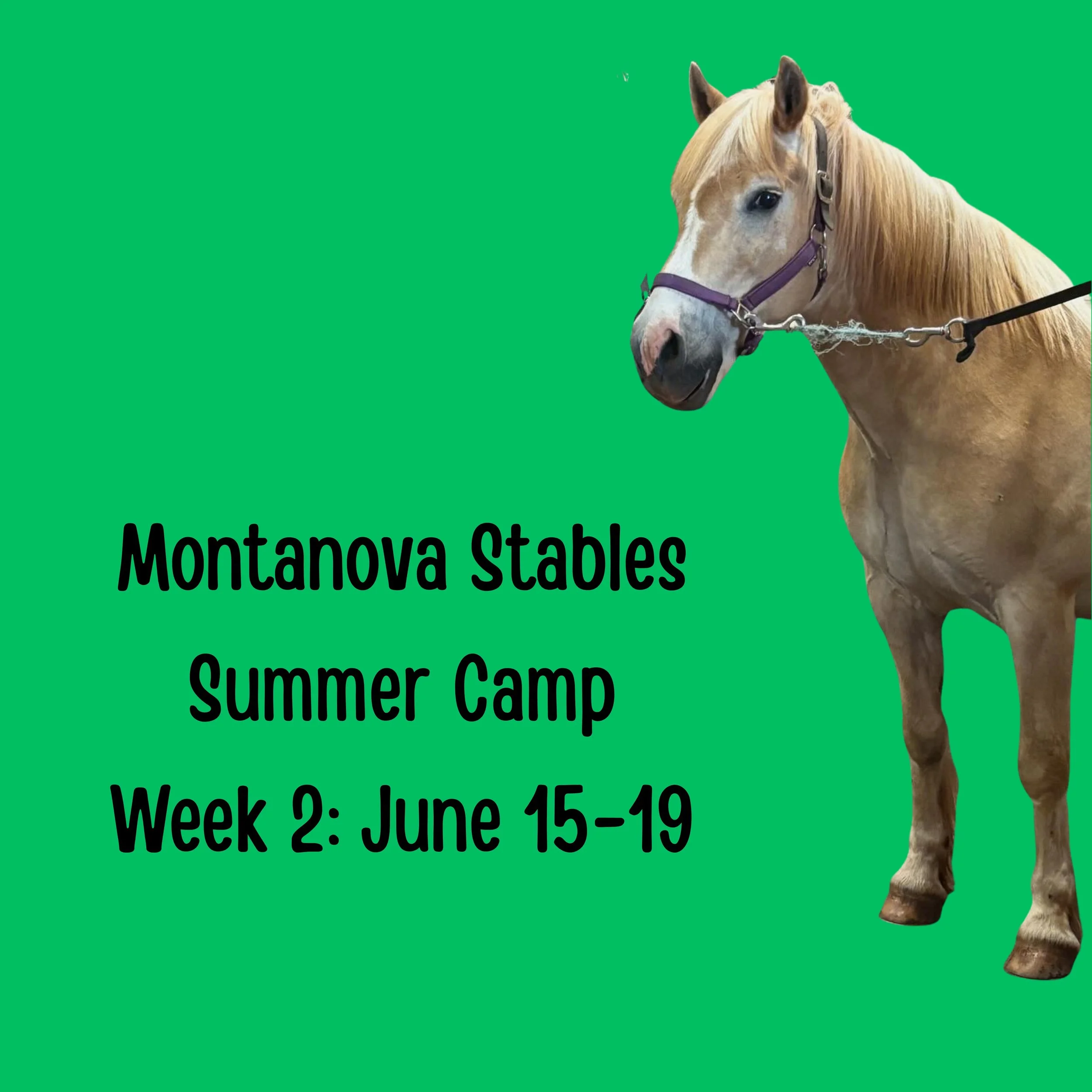 Week 2 - June 15-19