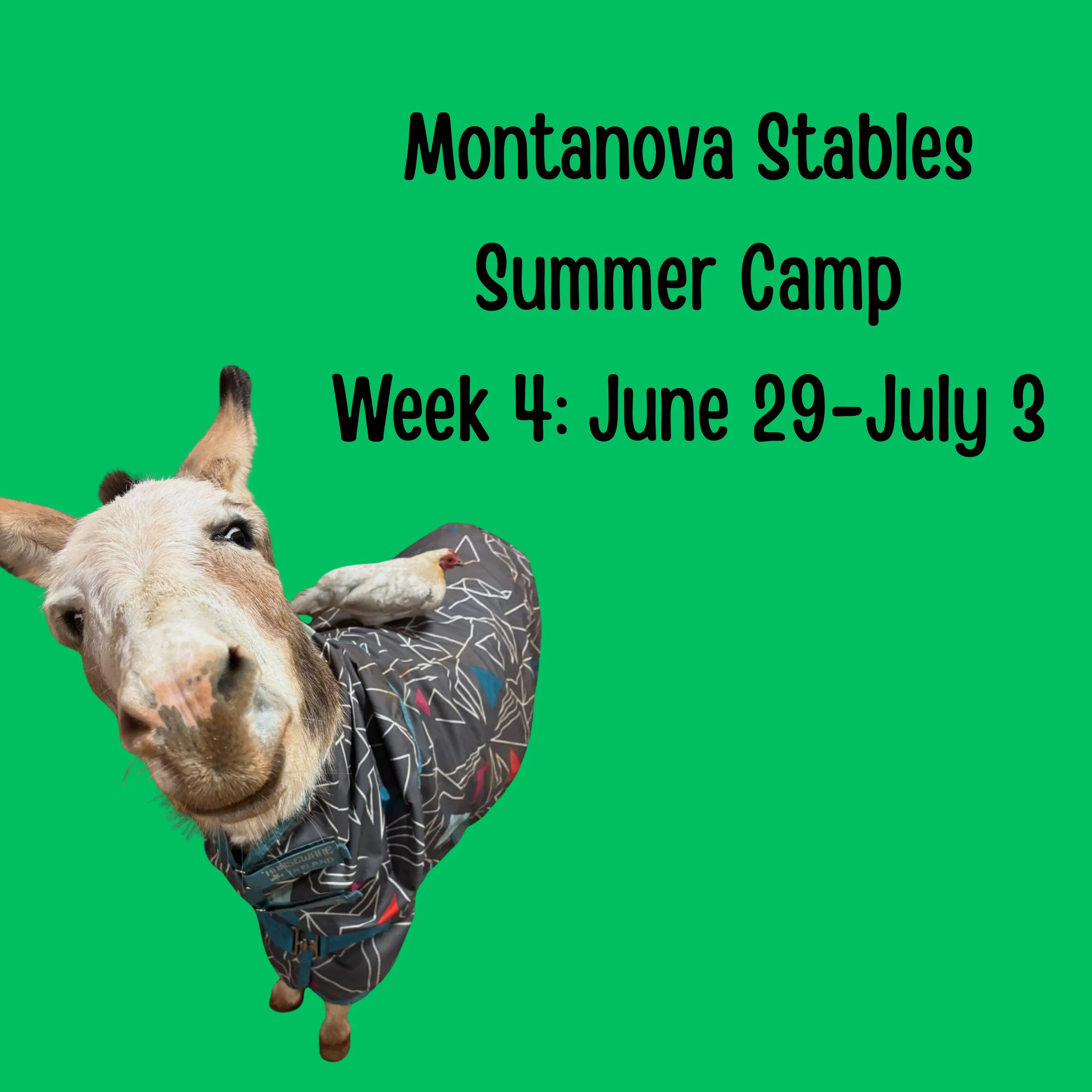 Week 4 - June 29-July 3