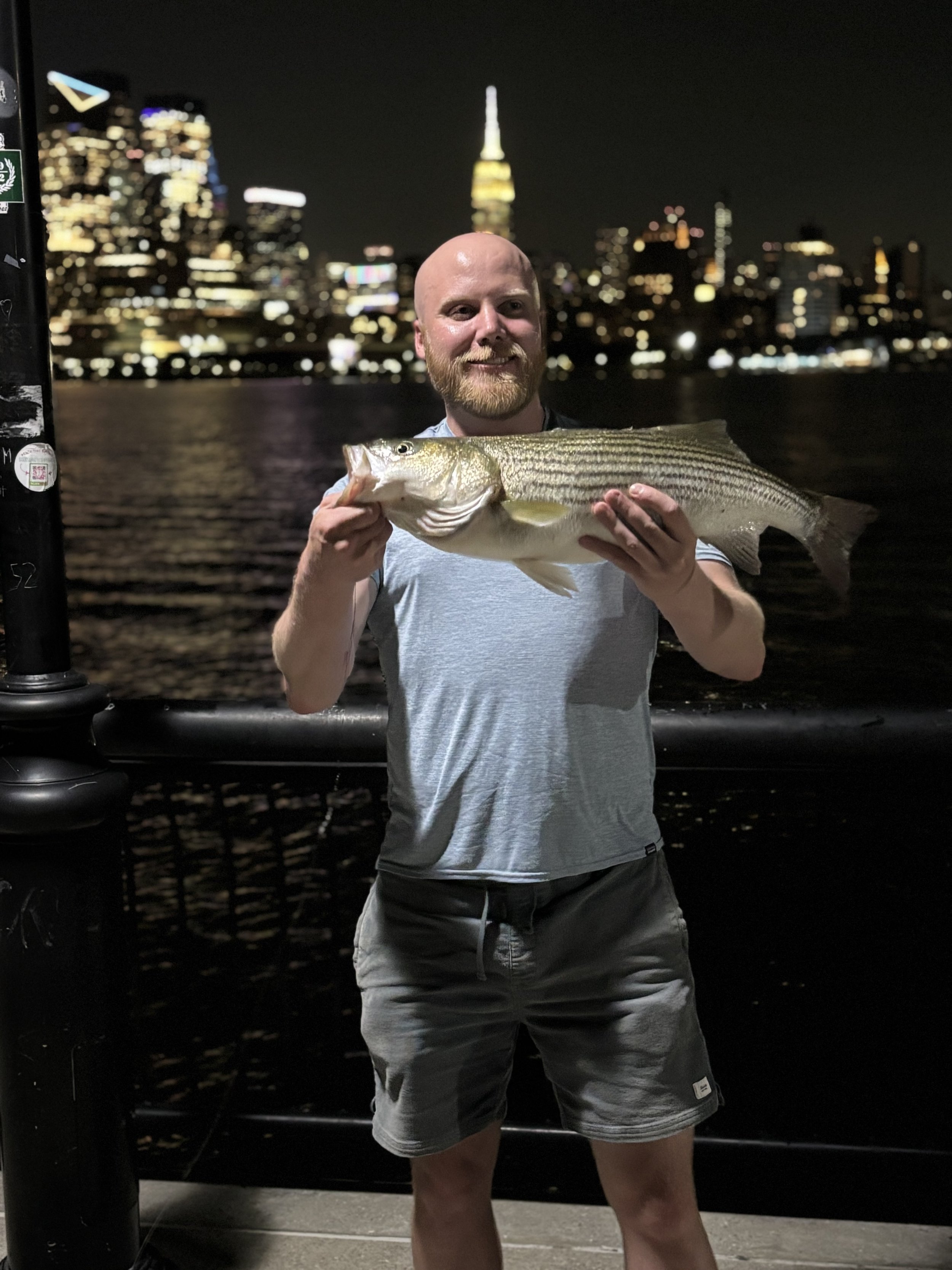 striped bass hudson river
