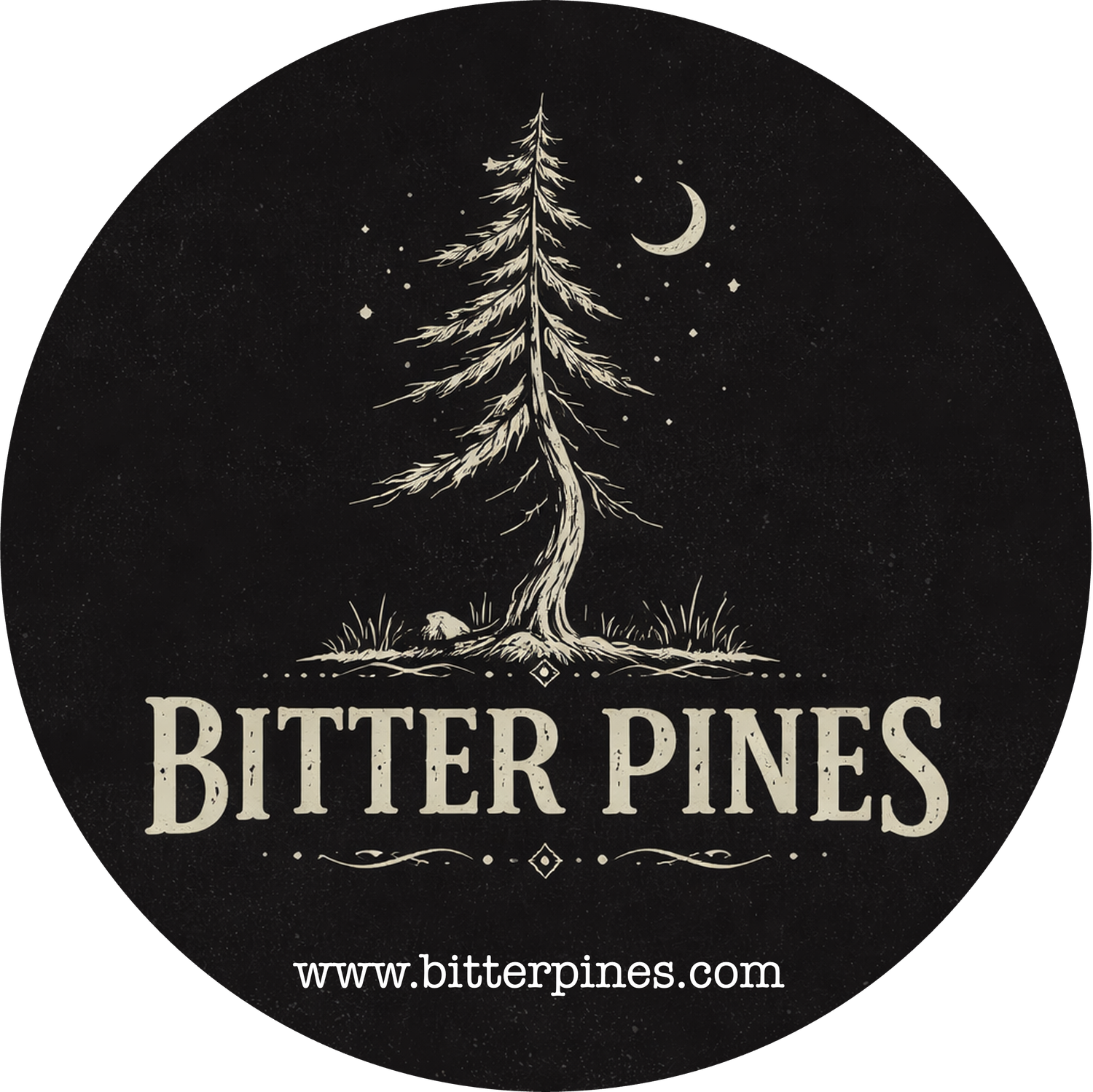The Acoustic Duo of Bitter Pines 