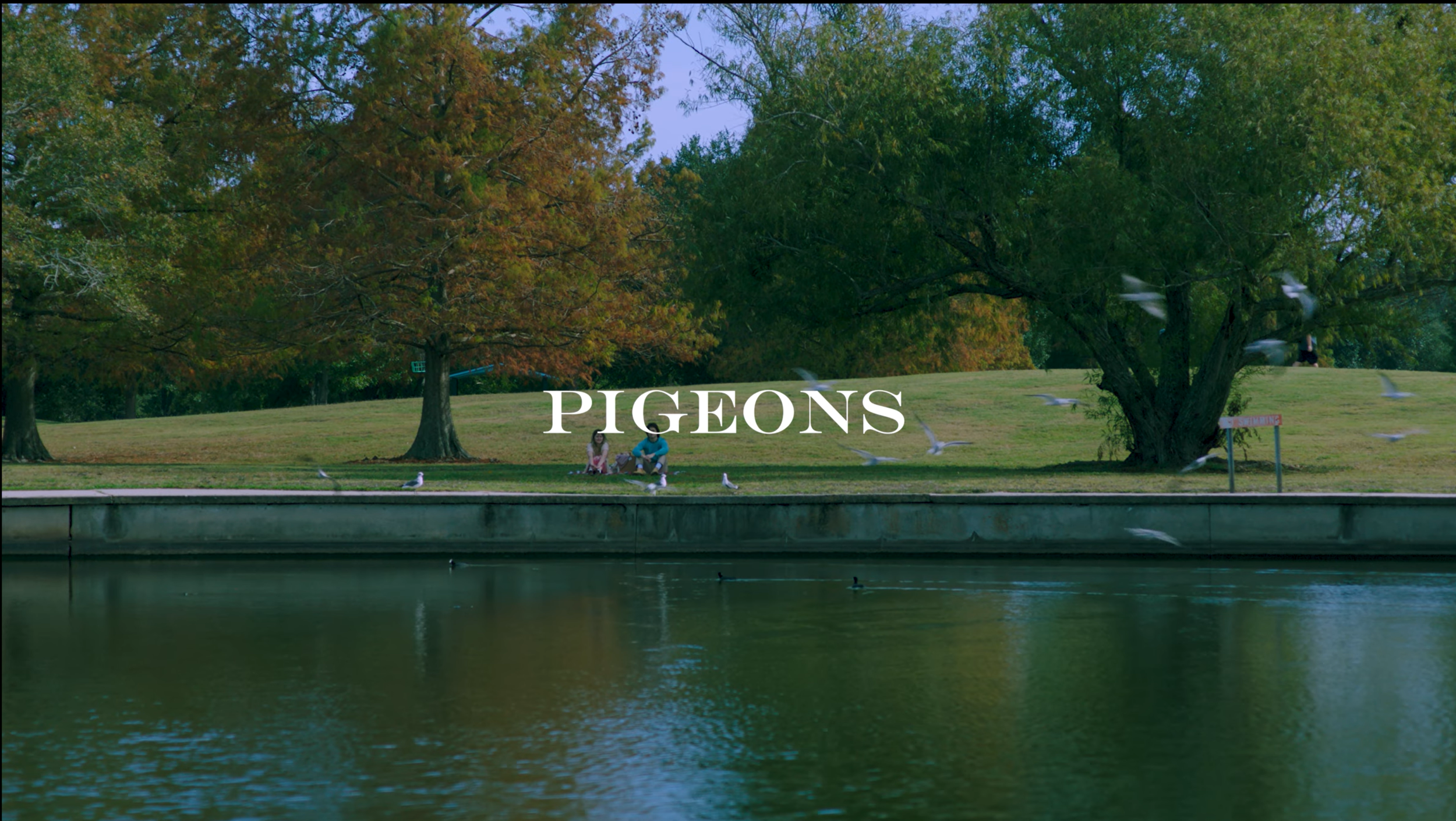 Pigeons