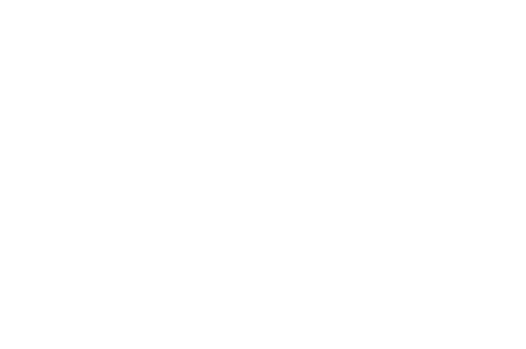 deeCREATIVEguru