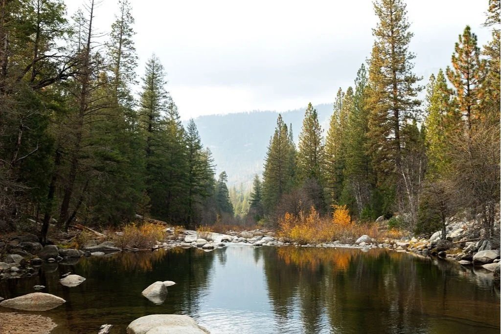 Merced River in Yosemite Valley 