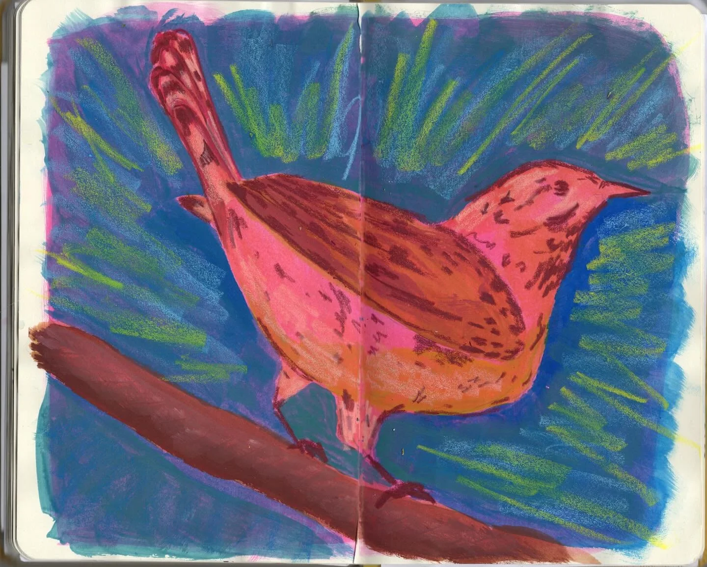Just for fun and experiments sake.
A Cactus Wren in three ways.
1. Mixed media in sketchbook
2. Digital in @procreate 
3. Acrylic on canvas. 
Do you have a fave?