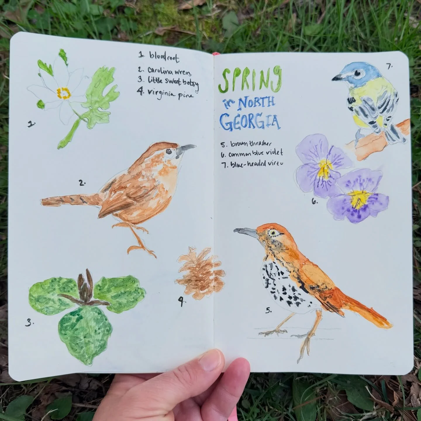 emerging from winter hibernation, bit by bit

(first sketchbook spread in a loongg while thanks to some &ldquo;spring break&rdquo; vacation inspiration)