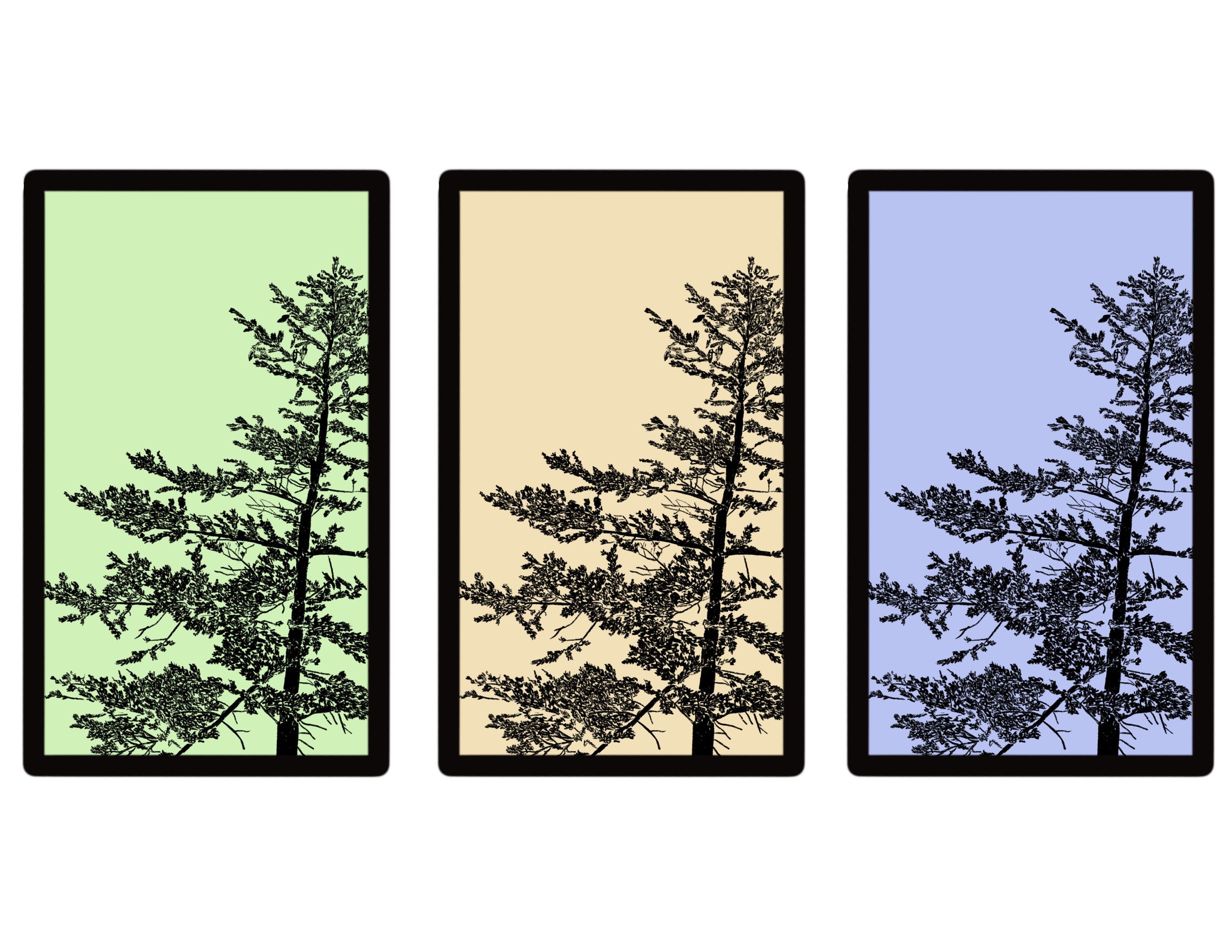 tree_triptych 2.JPG