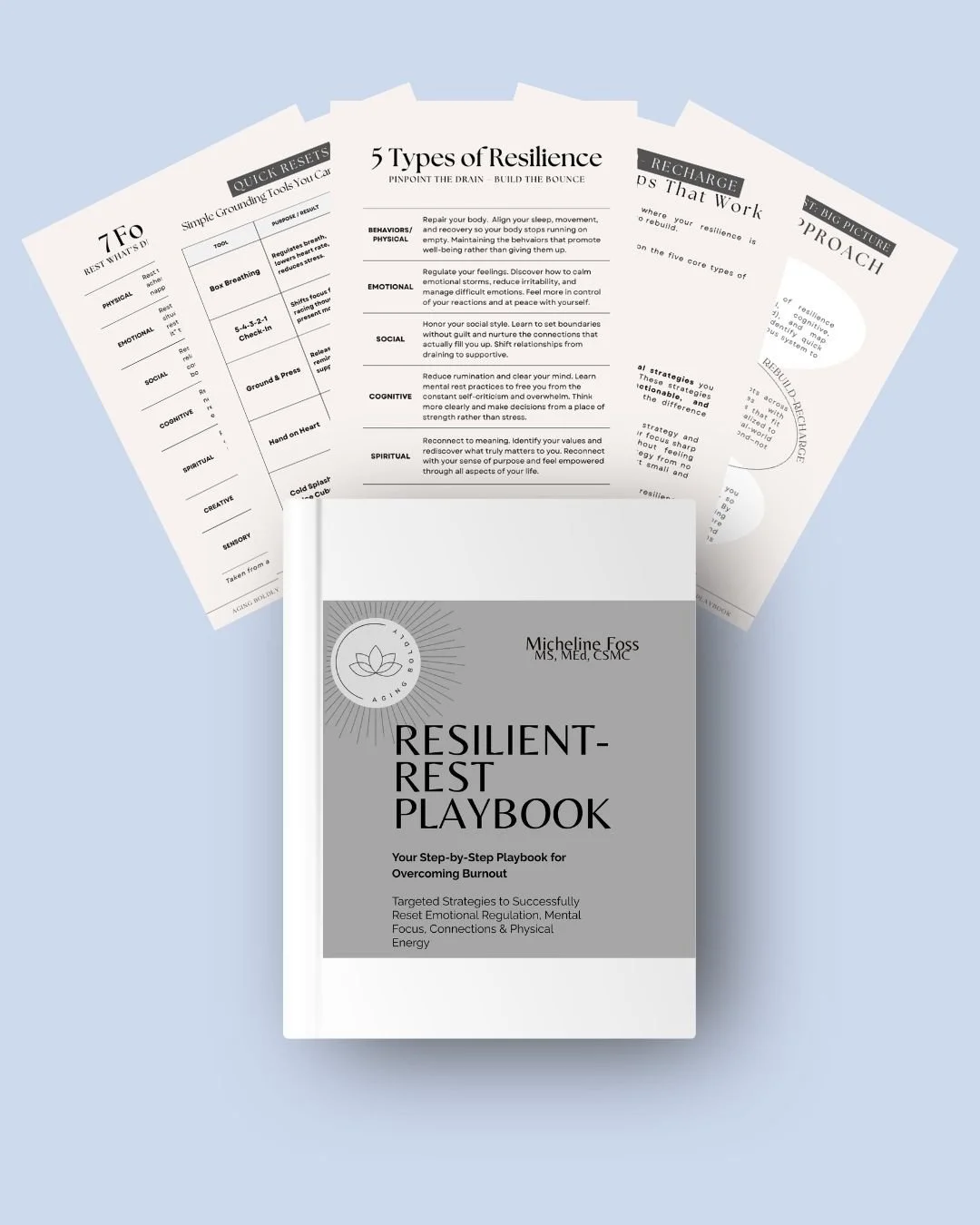 Resilient Rest Playbook with example pages