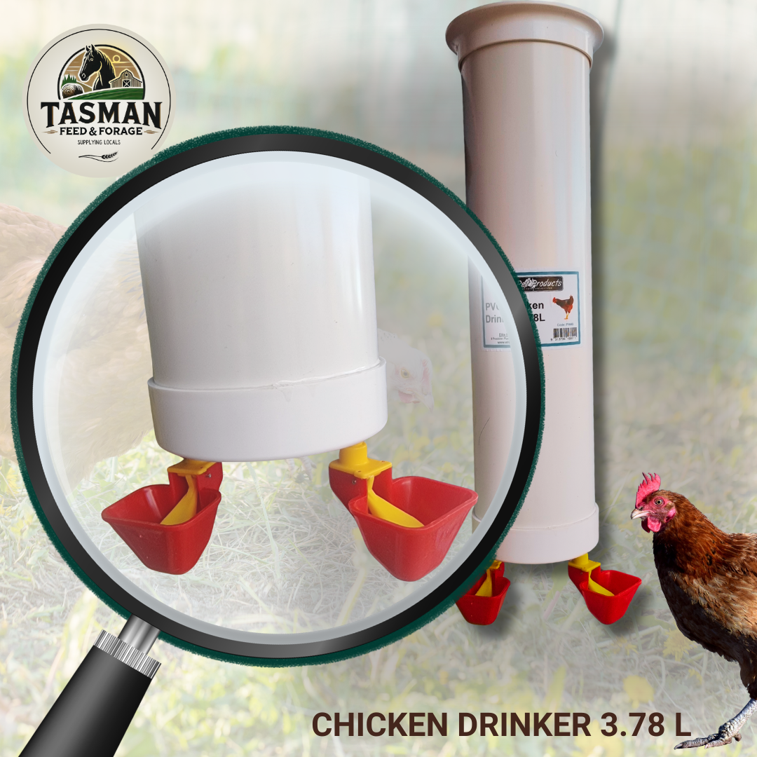 Chicken Drinker 3.78l close up