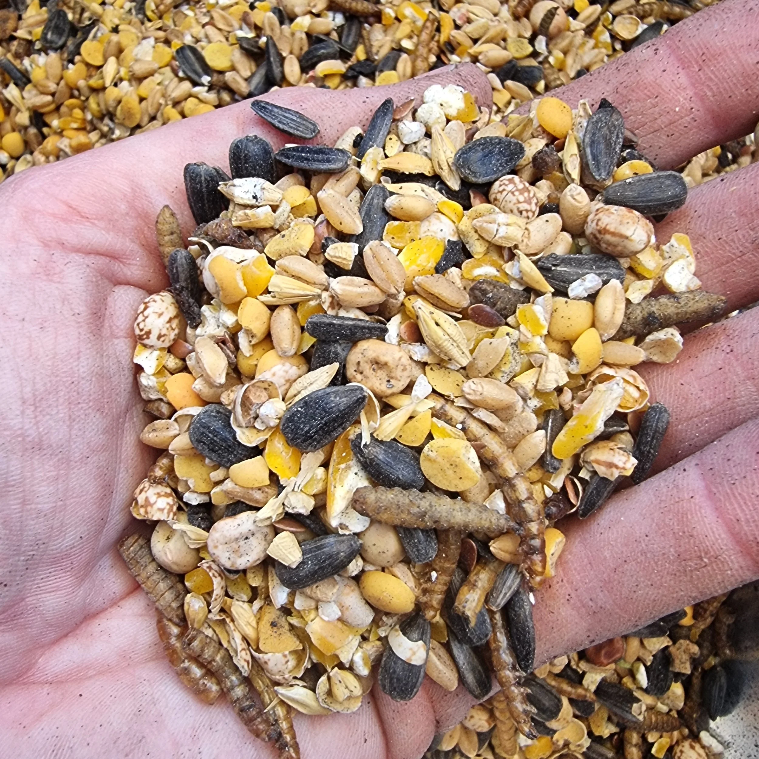 Tasman Natural Forage Booster close up