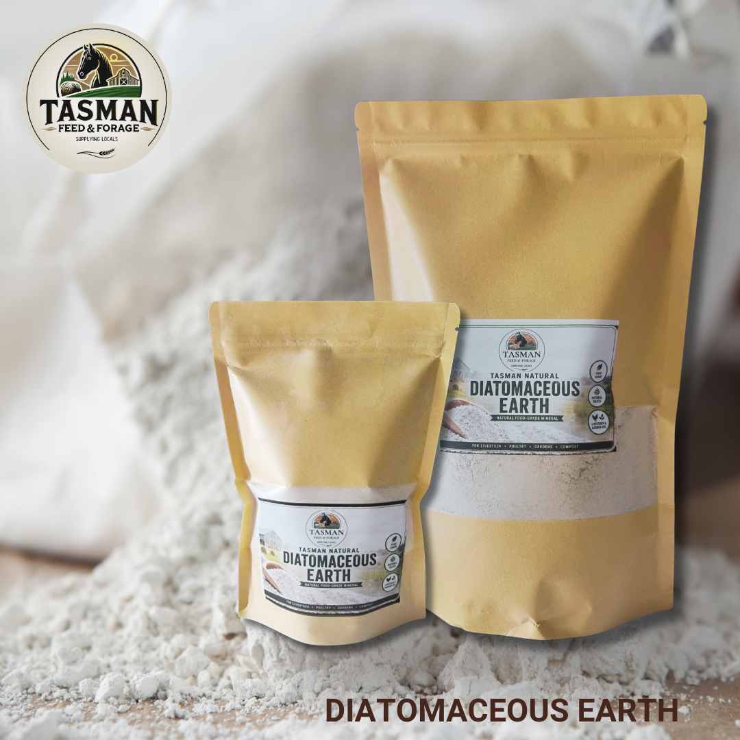 Diatomaceous Earth