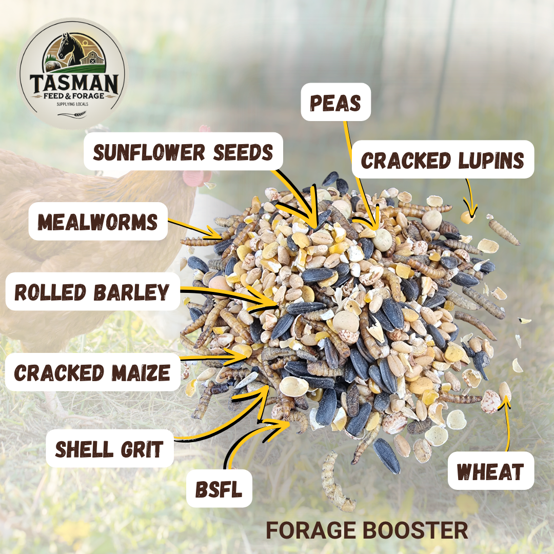 Tasman Natural Forage Booster content