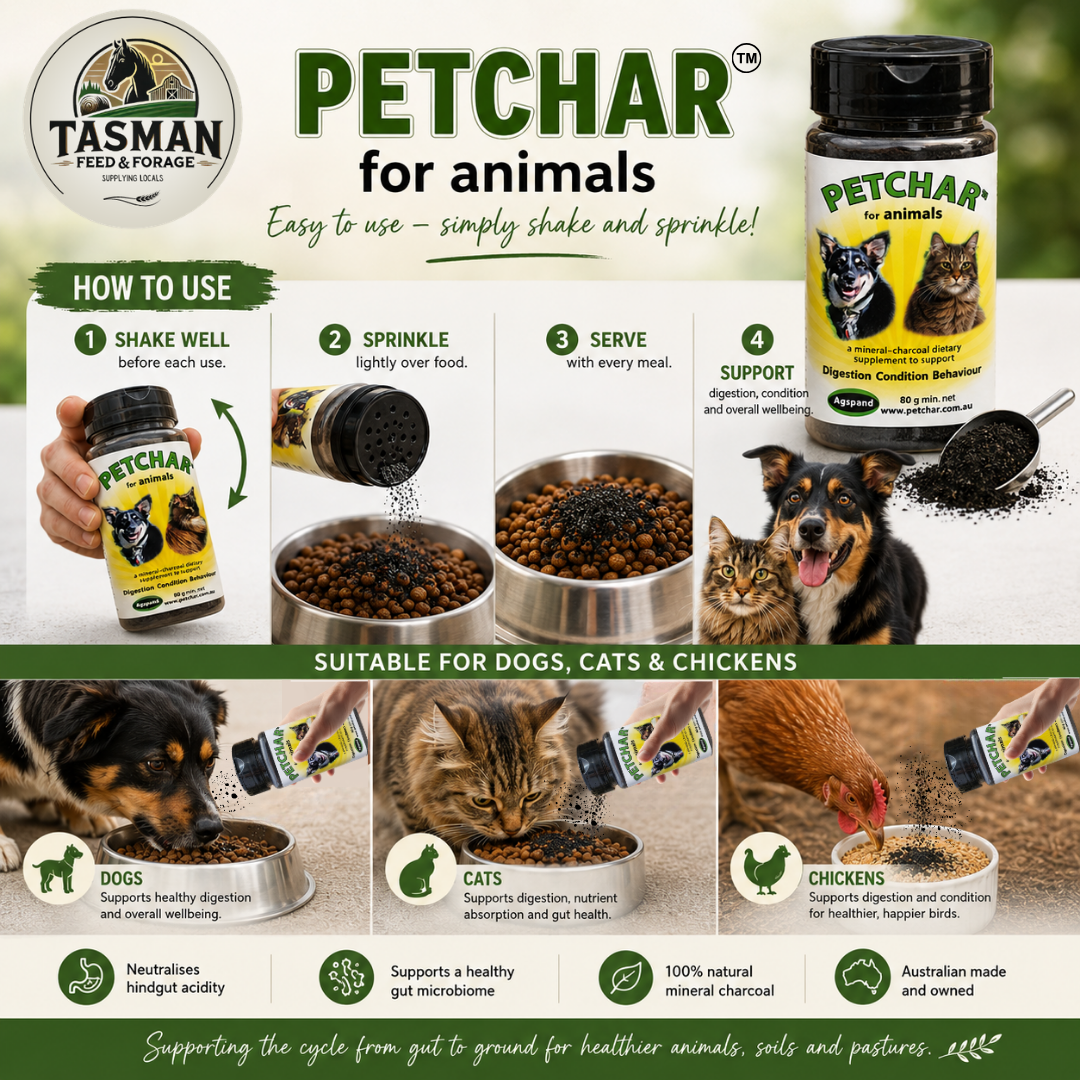 Petchar for animals, how to use